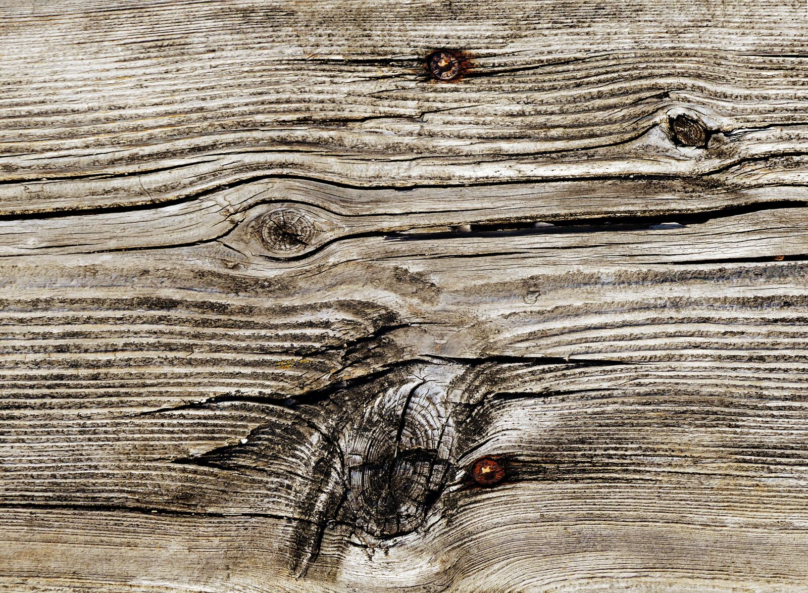 Panasonic Lumix DMC-FZ300 sample photo. Woods, wood, chop wood photography