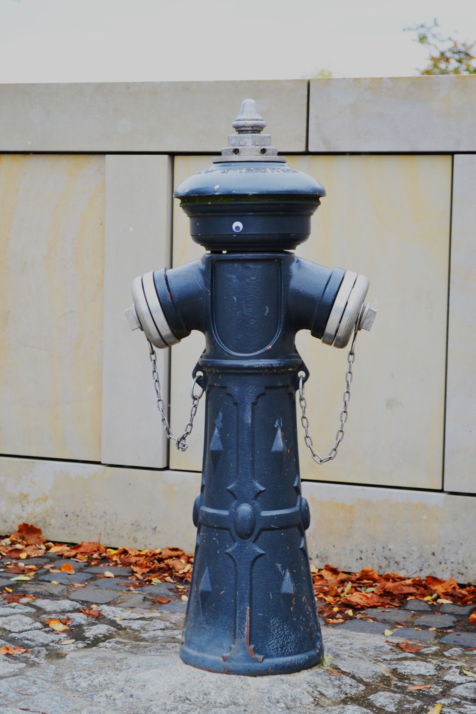 Nikon D3100 sample photo. Hydrant, fire, water photography