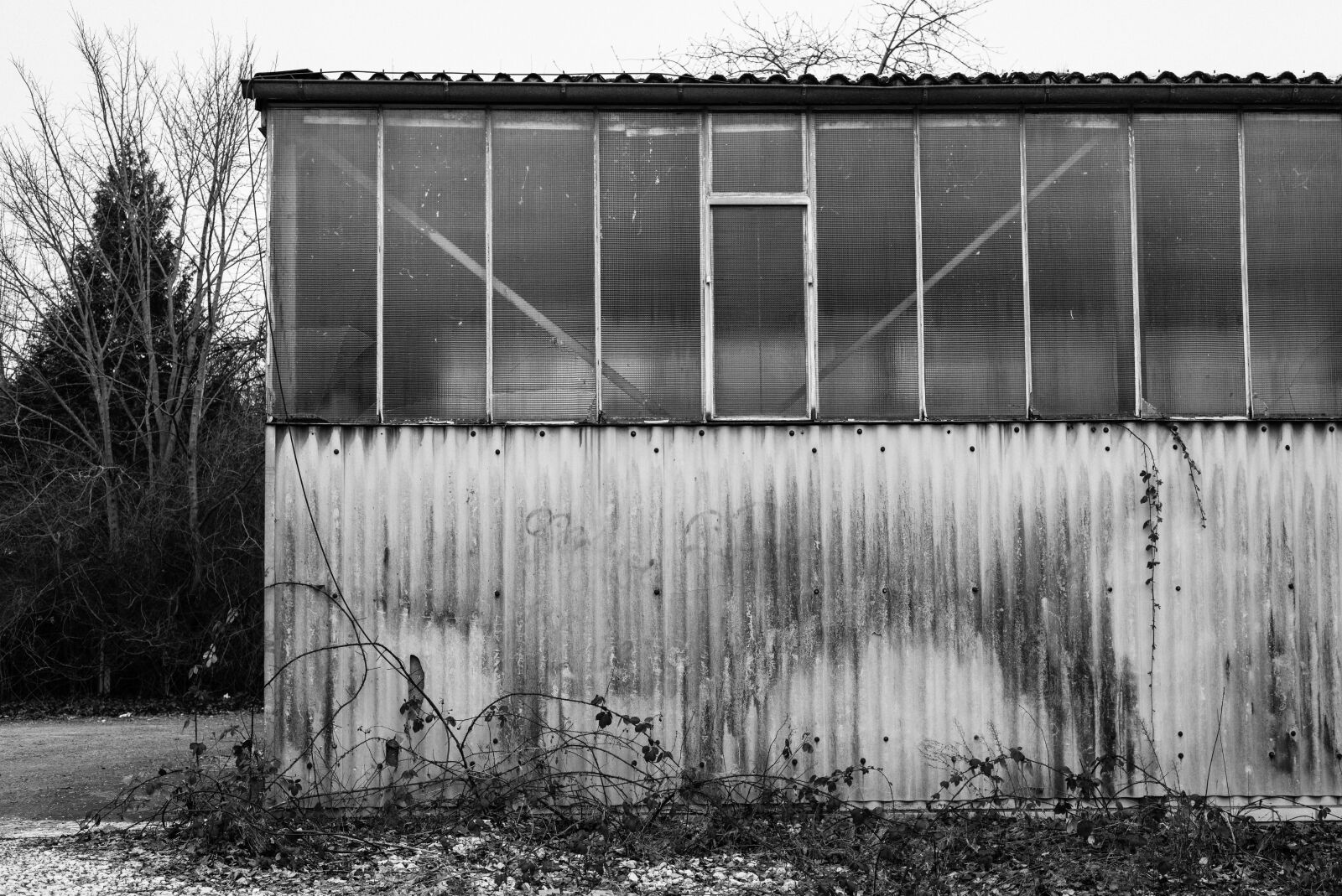 Nikon D810 sample photo. Black and white, black photography