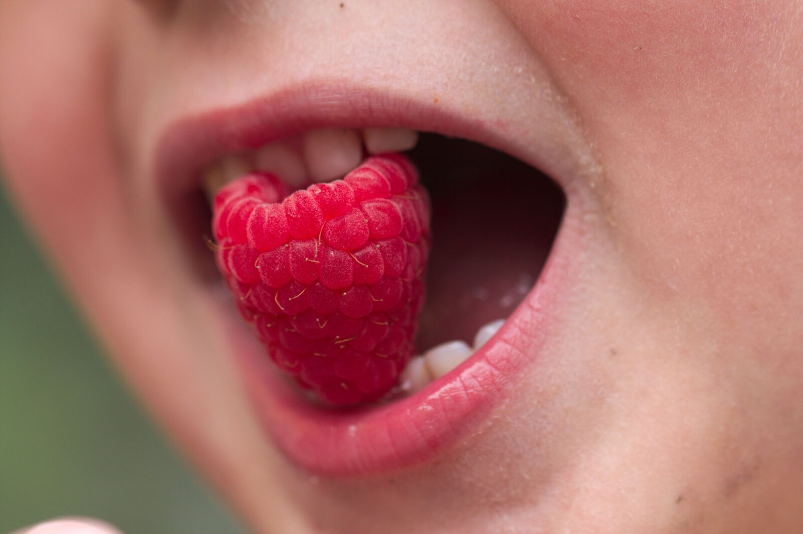 Canon EOS 40D sample photo. Child, raspberry, summer photography