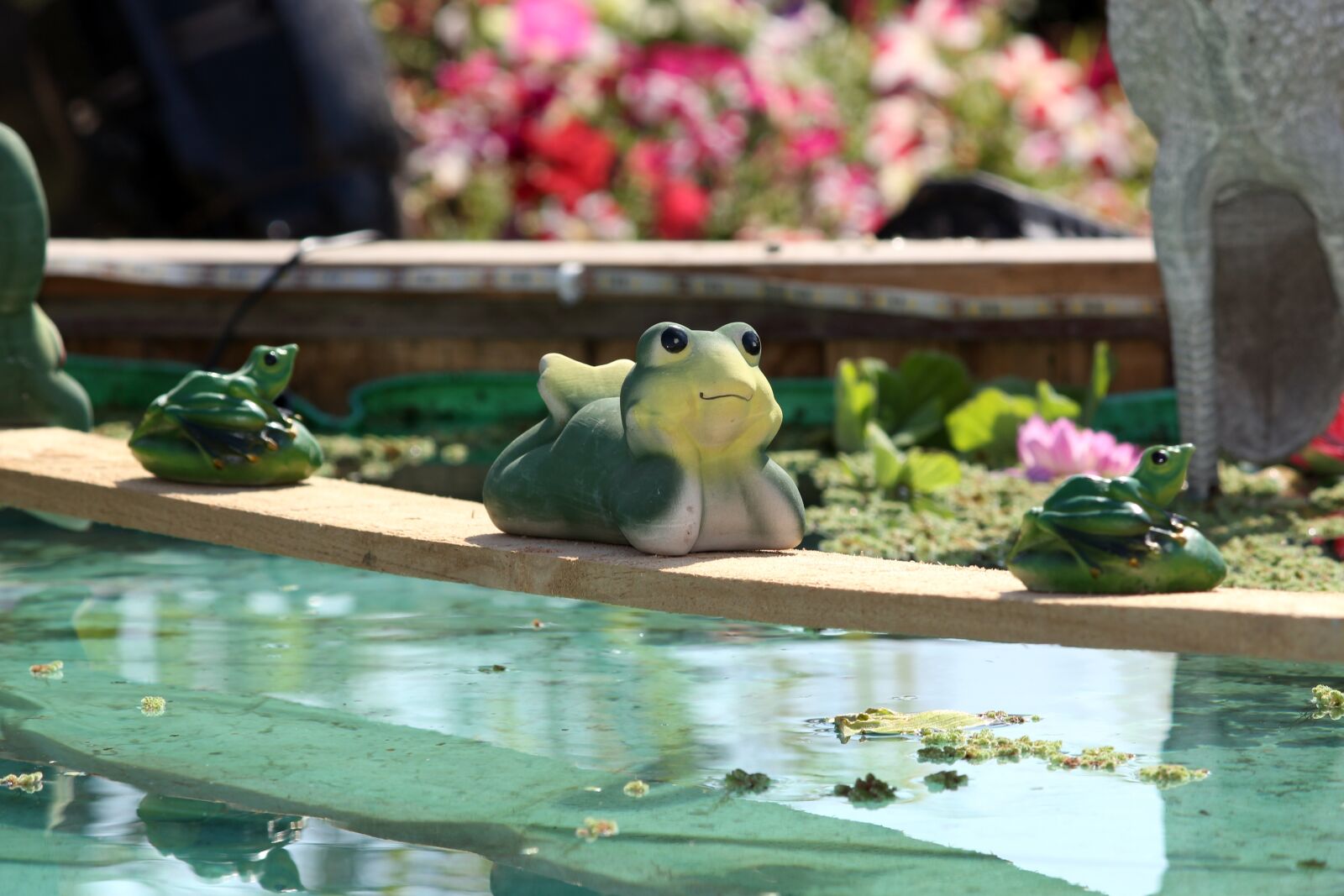 Canon EOS 700D (EOS Rebel T5i / EOS Kiss X7i) sample photo. Nature, beauty, flowers photography