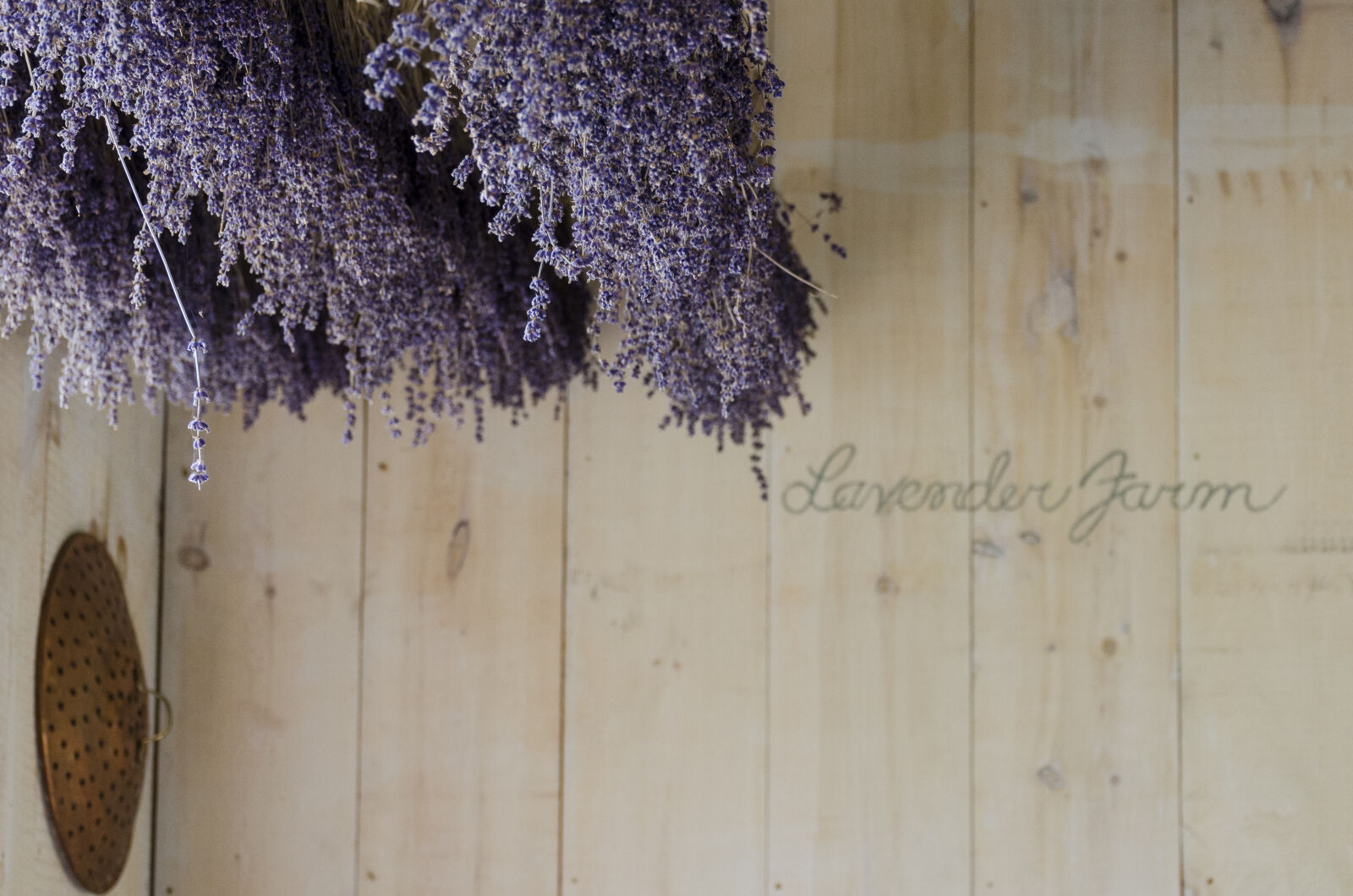 Nikon D7000 sample photo. Decor, decoration, decorative, dry photography