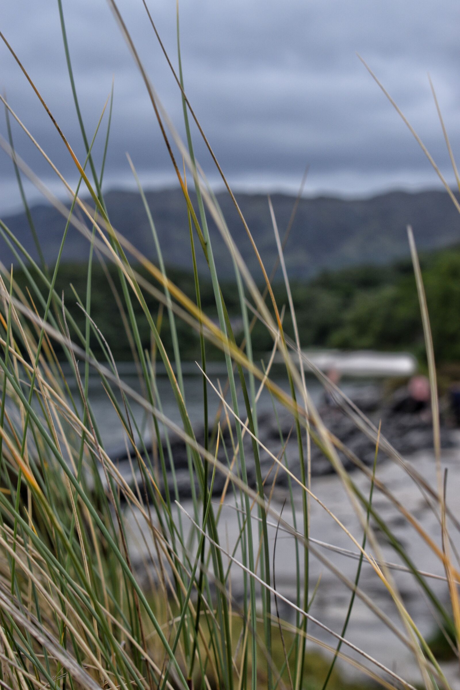 Nikon D3300 sample photo. Scotland, view, west photography