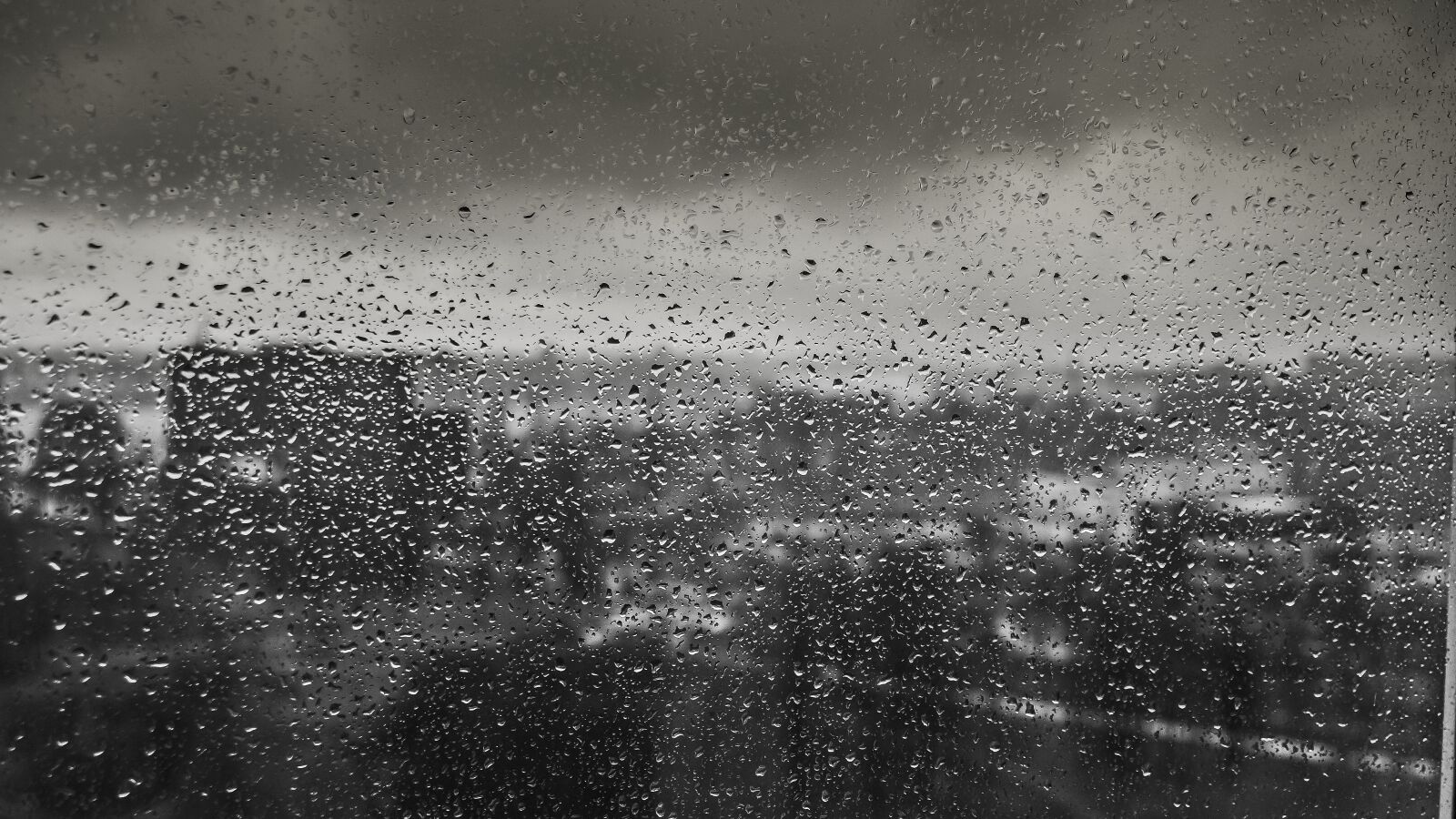 Sony SLT-A77 + 24-70mm F2.8 sample photo. Rain, drops, raindrops photography