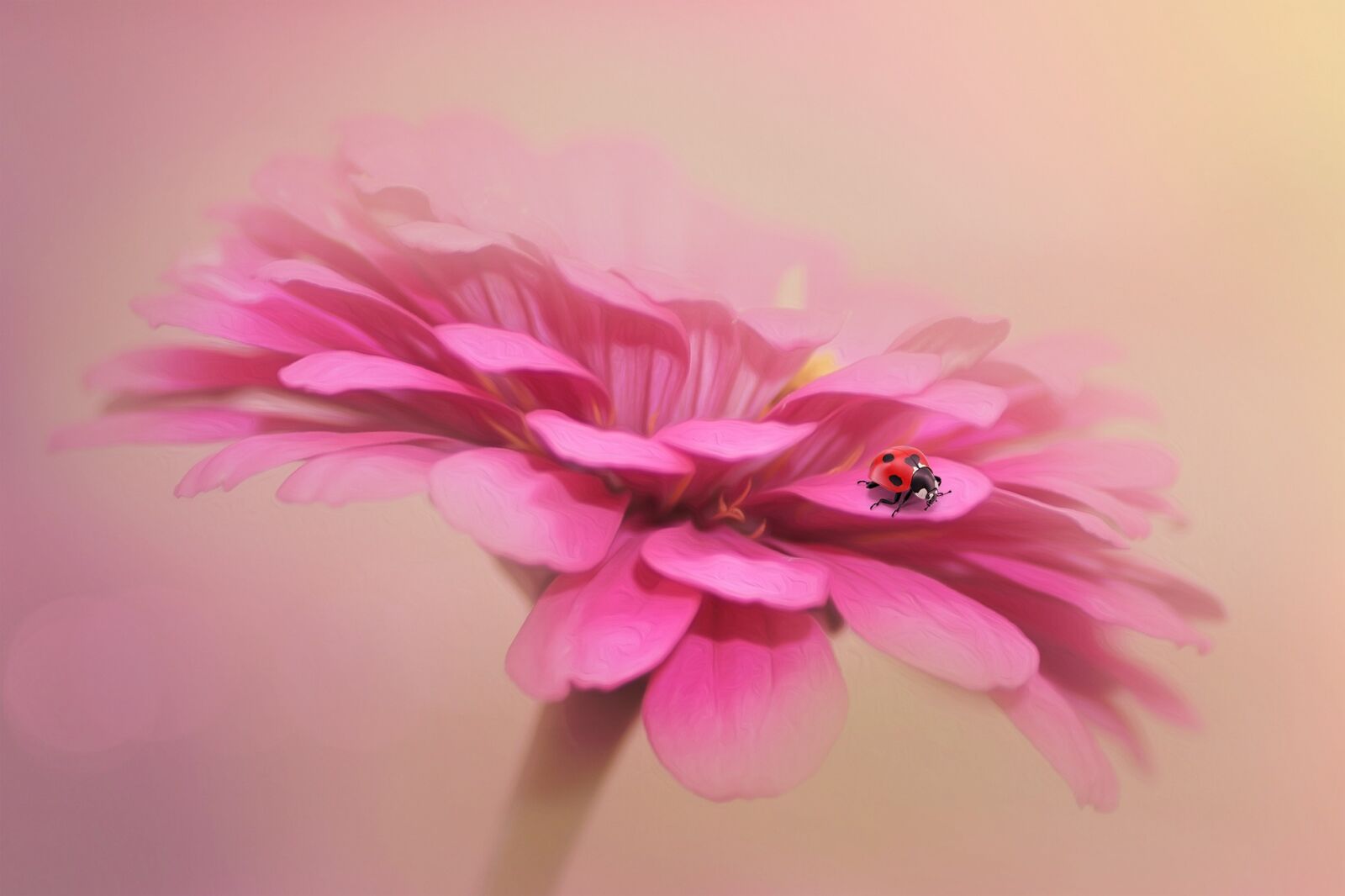 Tamron SP 90mm F2.8 Di VC USD 1:1 Macro sample photo. Fantasy, ladybug, blossom photography