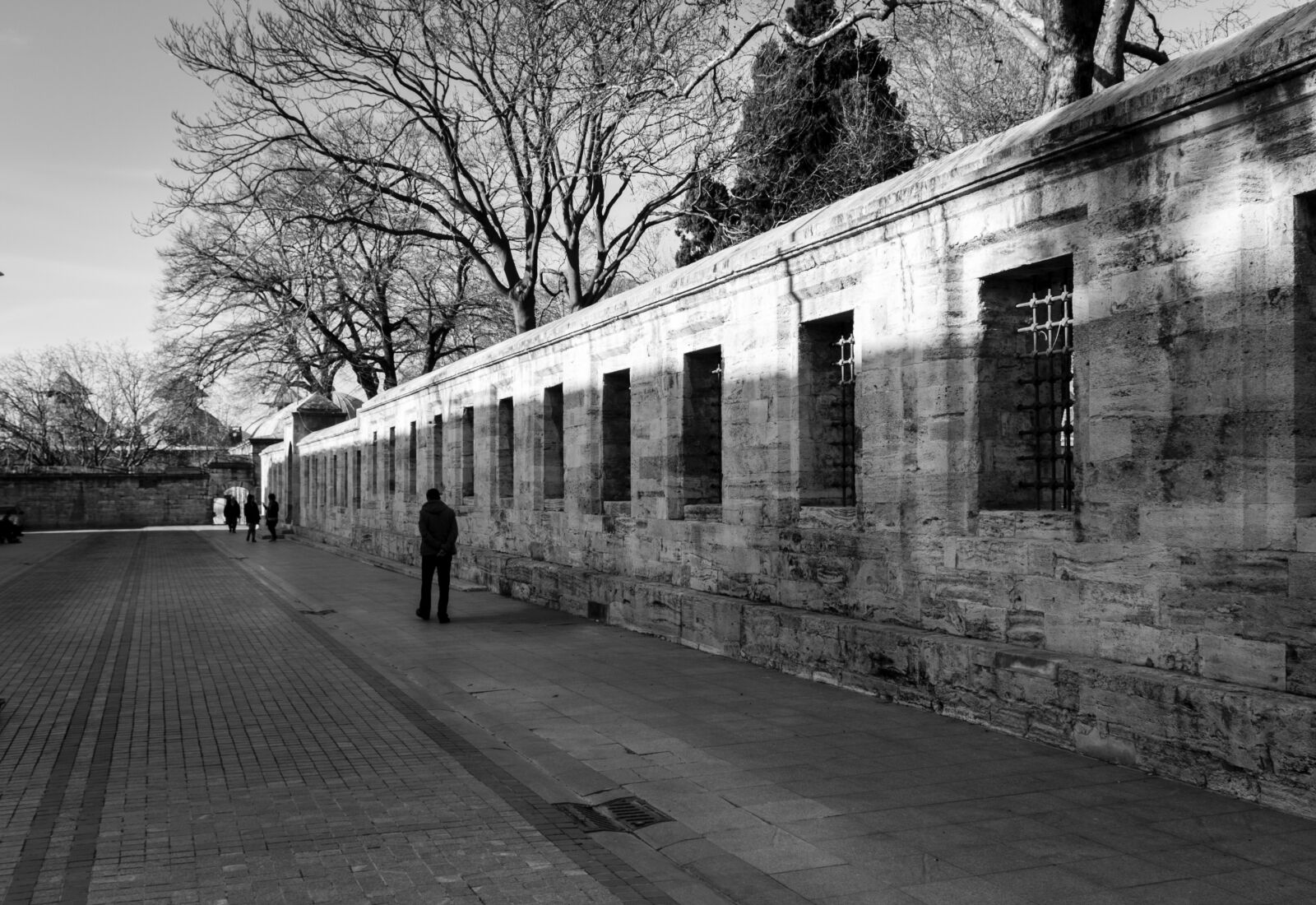 Canon EOS 700D (EOS Rebel T5i / EOS Kiss X7i) sample photo. Black, black, and, white photography