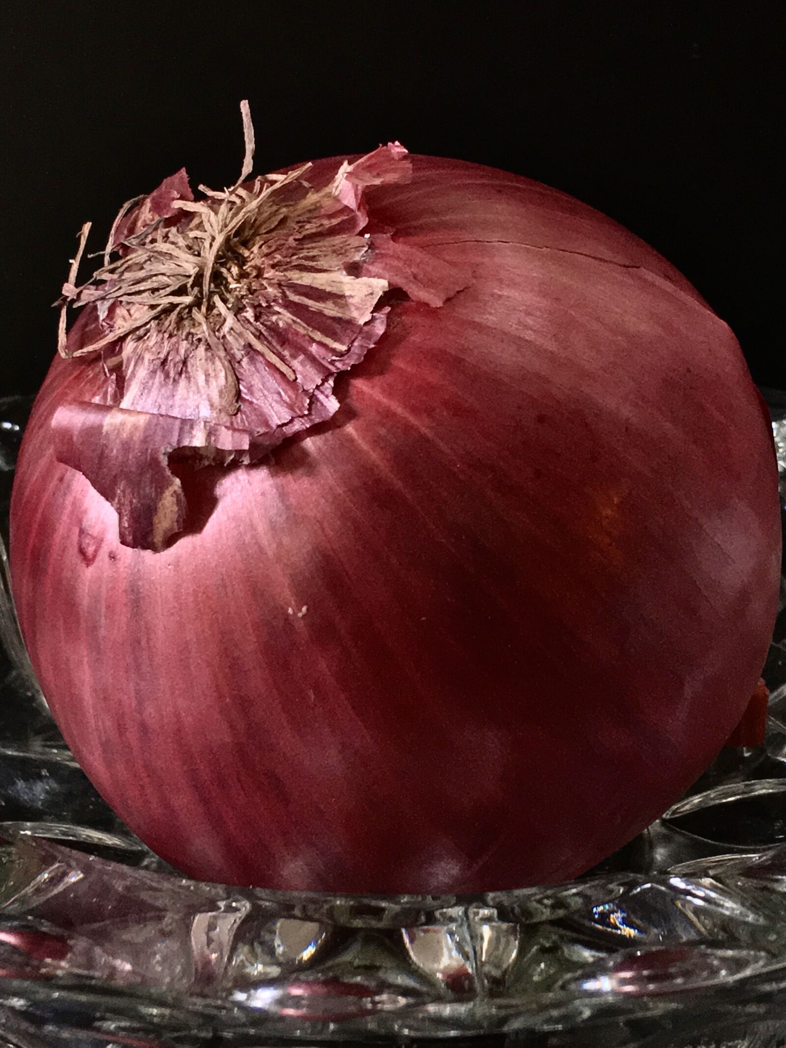 Apple iPhone 6s Plus sample photo. Onion, vegetable, nature photography