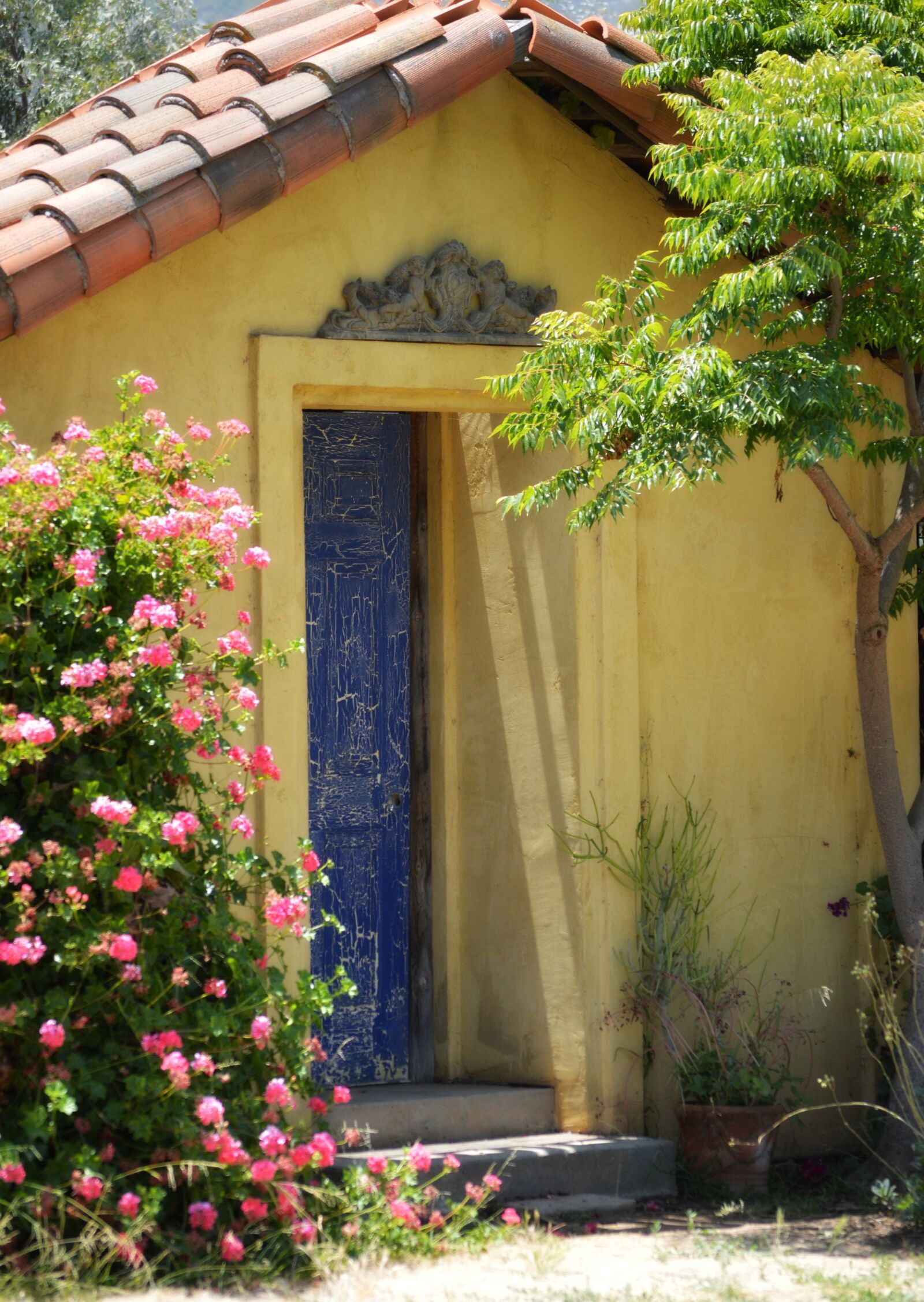 Nikon D3200 sample photo. Yellow, blue door, architecture photography