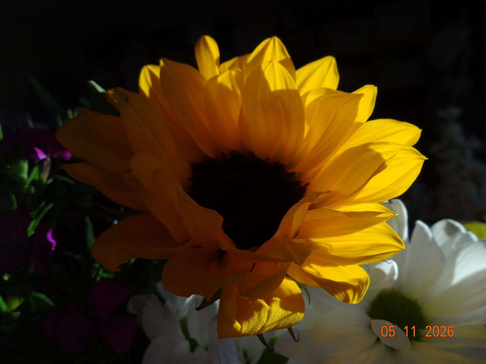 Sony DSC-WX100 sample photo