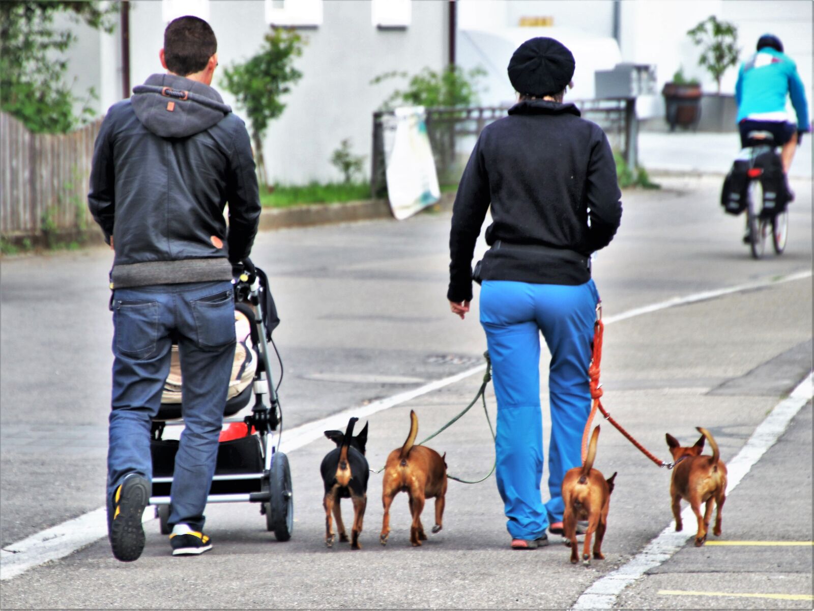 Canon EOS 80D sample photo. Dog house, street, people photography