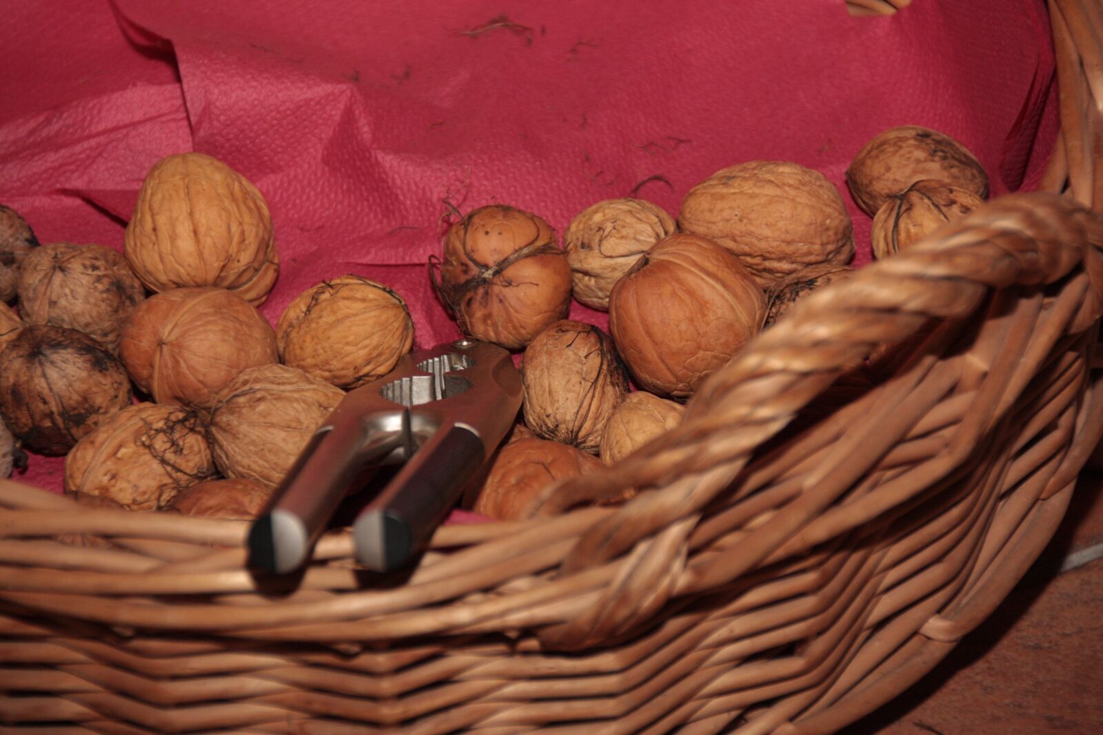 Canon EOS 40D sample photo. Walnut, basket, walnuts in photography