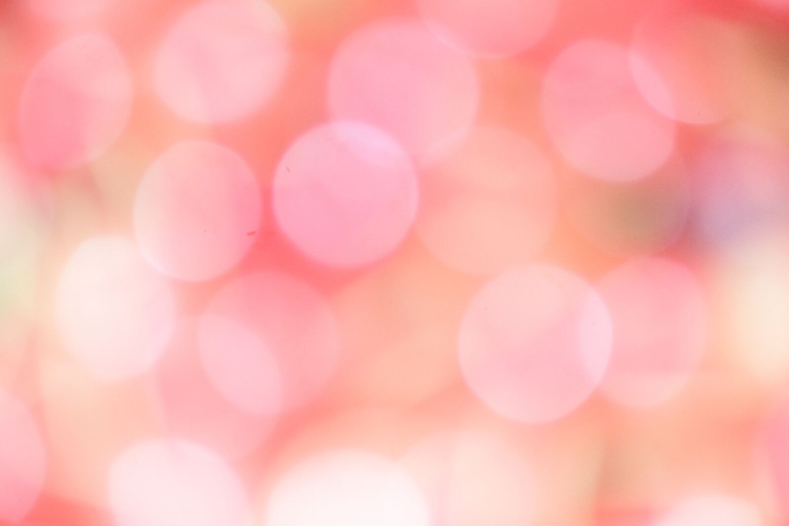 Nikon D3400 sample photo. Colourful, background, nature photography