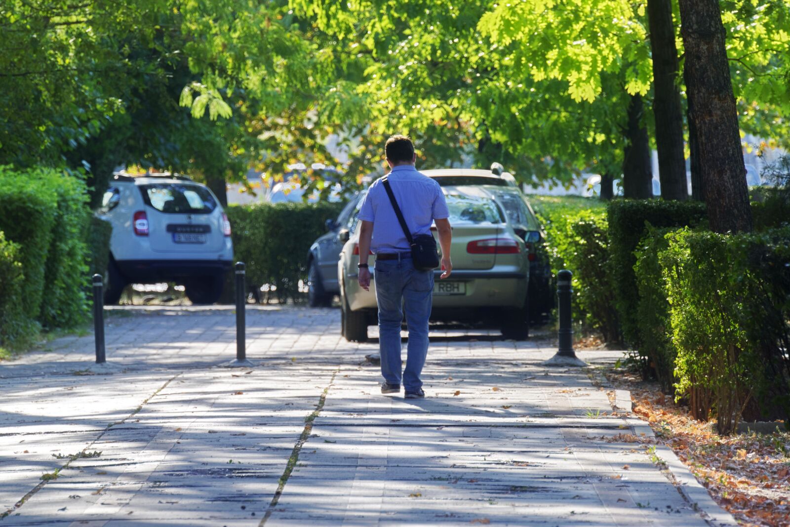 Nikon D5300 sample photo. Man, walking, pavement photography