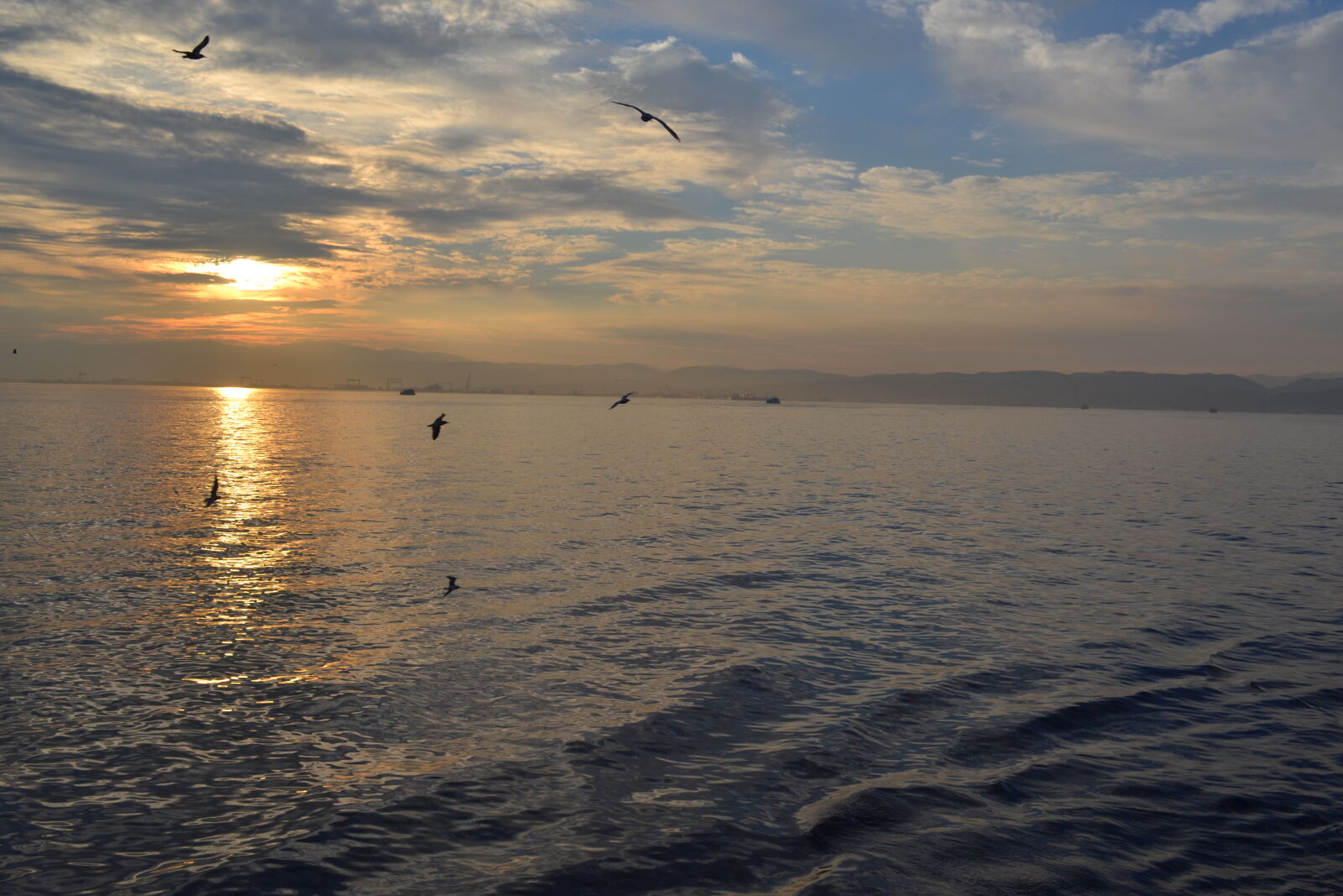 Nikon D3100 sample photo