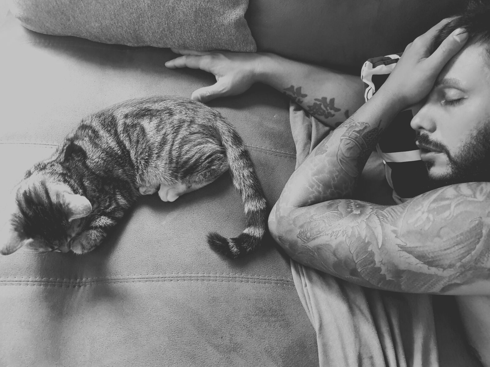 Samsung SM-G973F sample photo. Cat, pet, tattoo photography