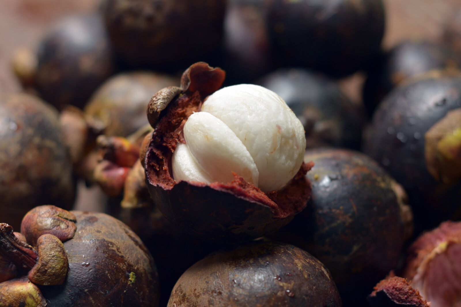 Nikon D3200 sample photo. Mangosteen, fruits, fresh photography