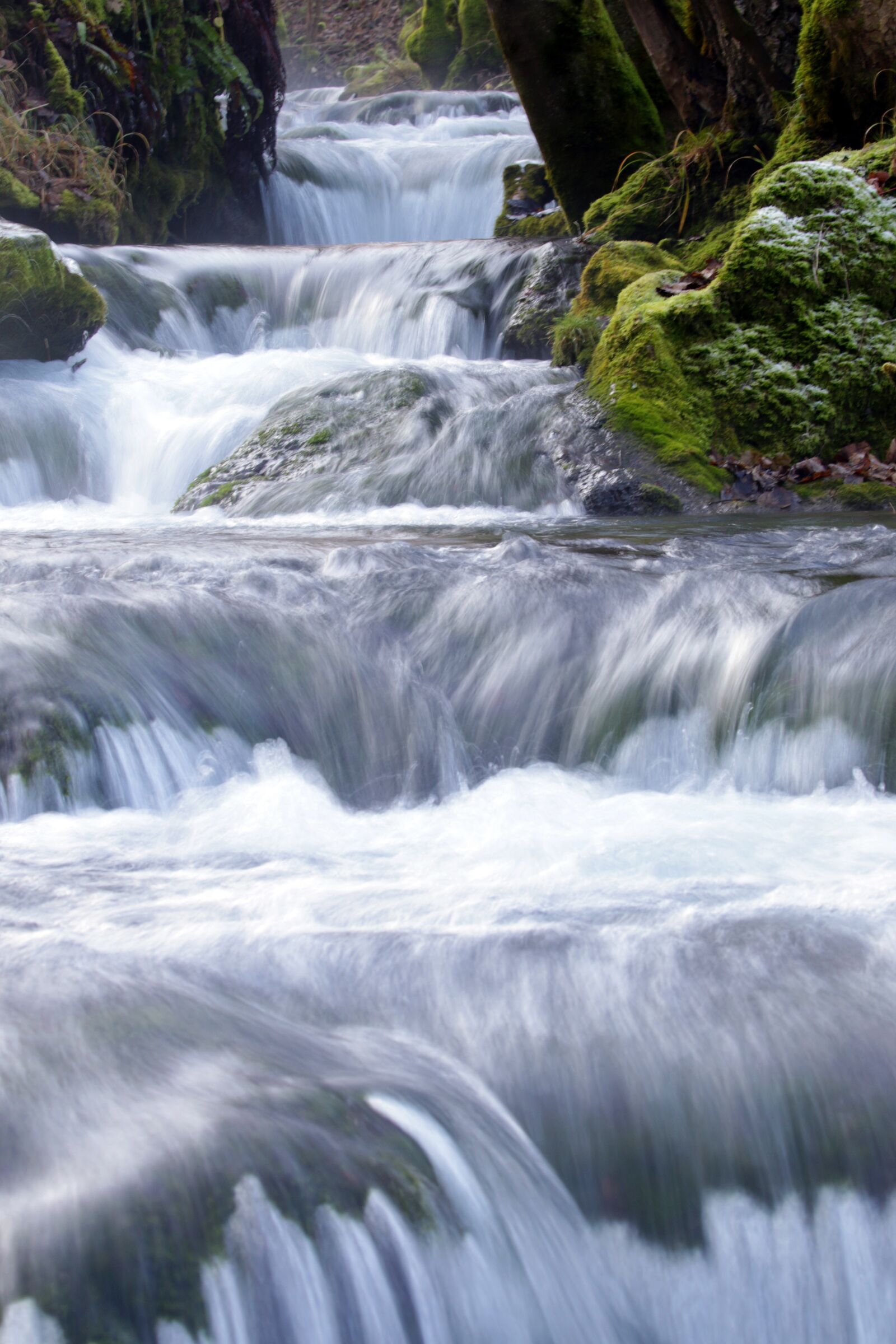Canon EOS 7D Mark II sample photo. River, water, fog photography