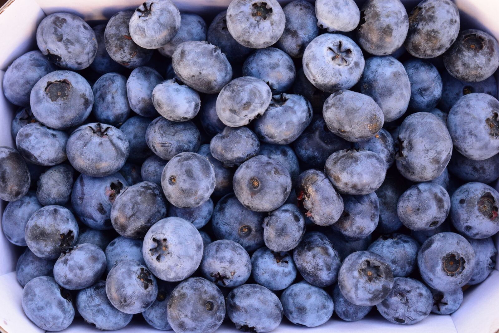 Nikon D3300 sample photo. Blueberries, delicious, fruit photography