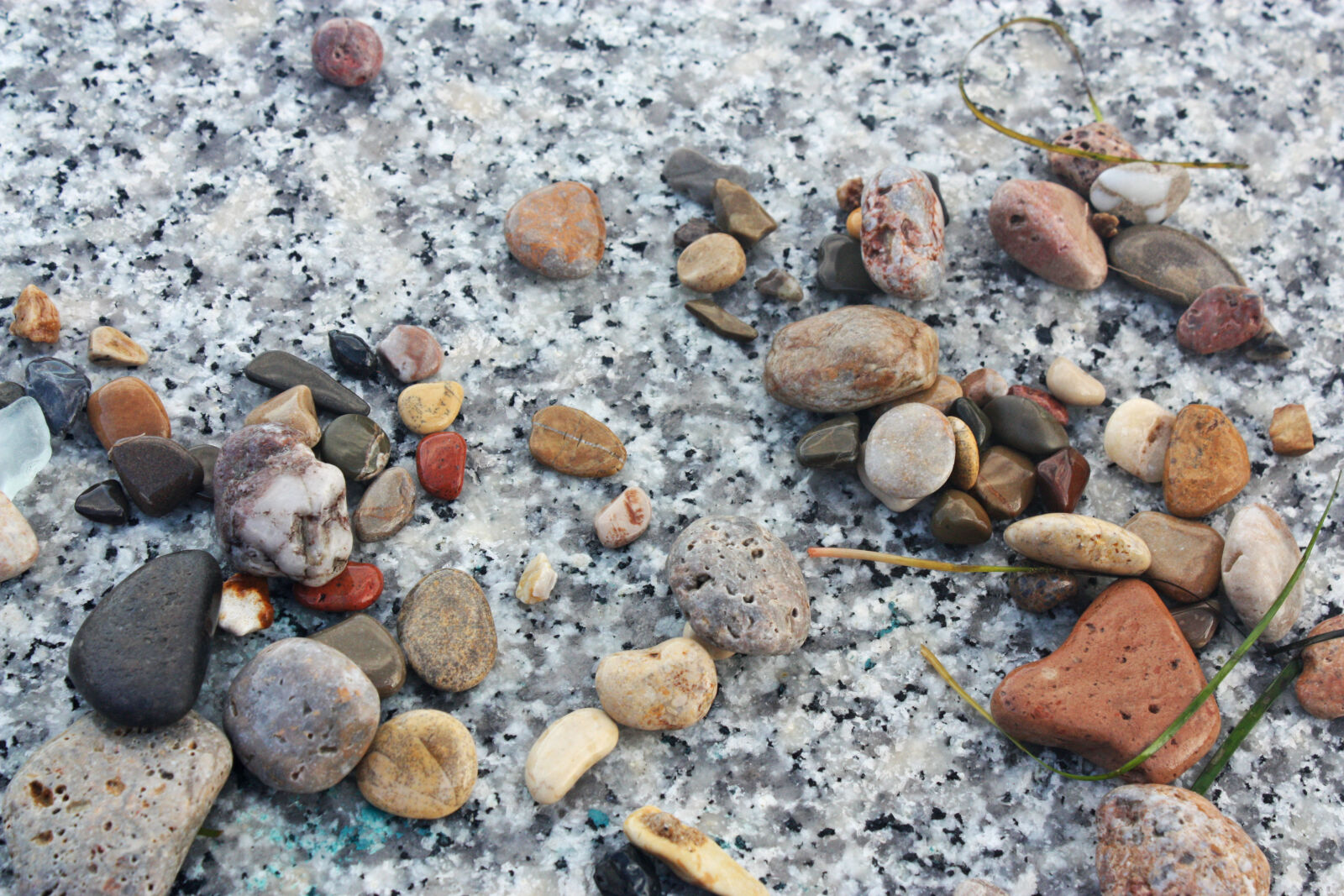 Canon EOS 450D (EOS Rebel XSi / EOS Kiss X2) sample photo. Granite, grass, italy, ocean photography