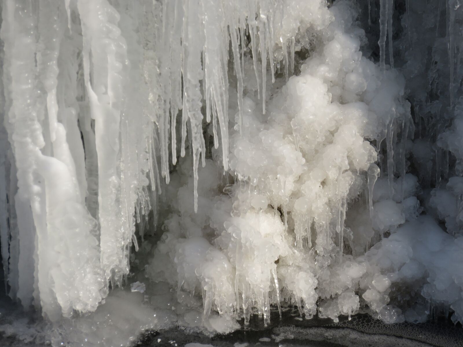 Canon PowerShot SX710 HS sample photo. Nature, winter, ice photography