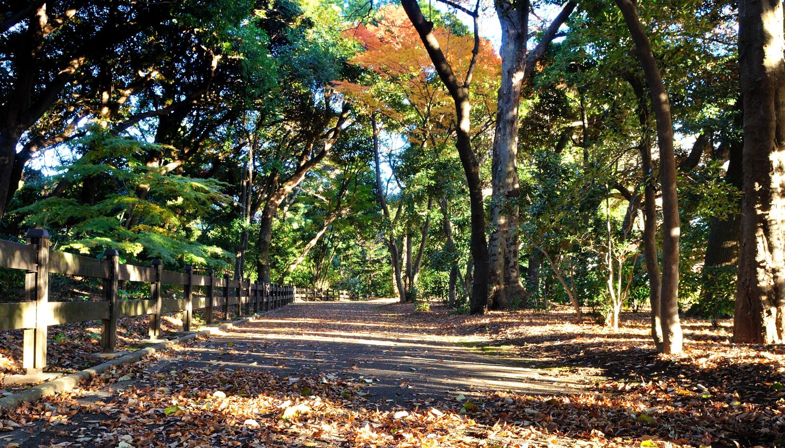 Nikon D90 sample photo. Japan, views, the scenery photography