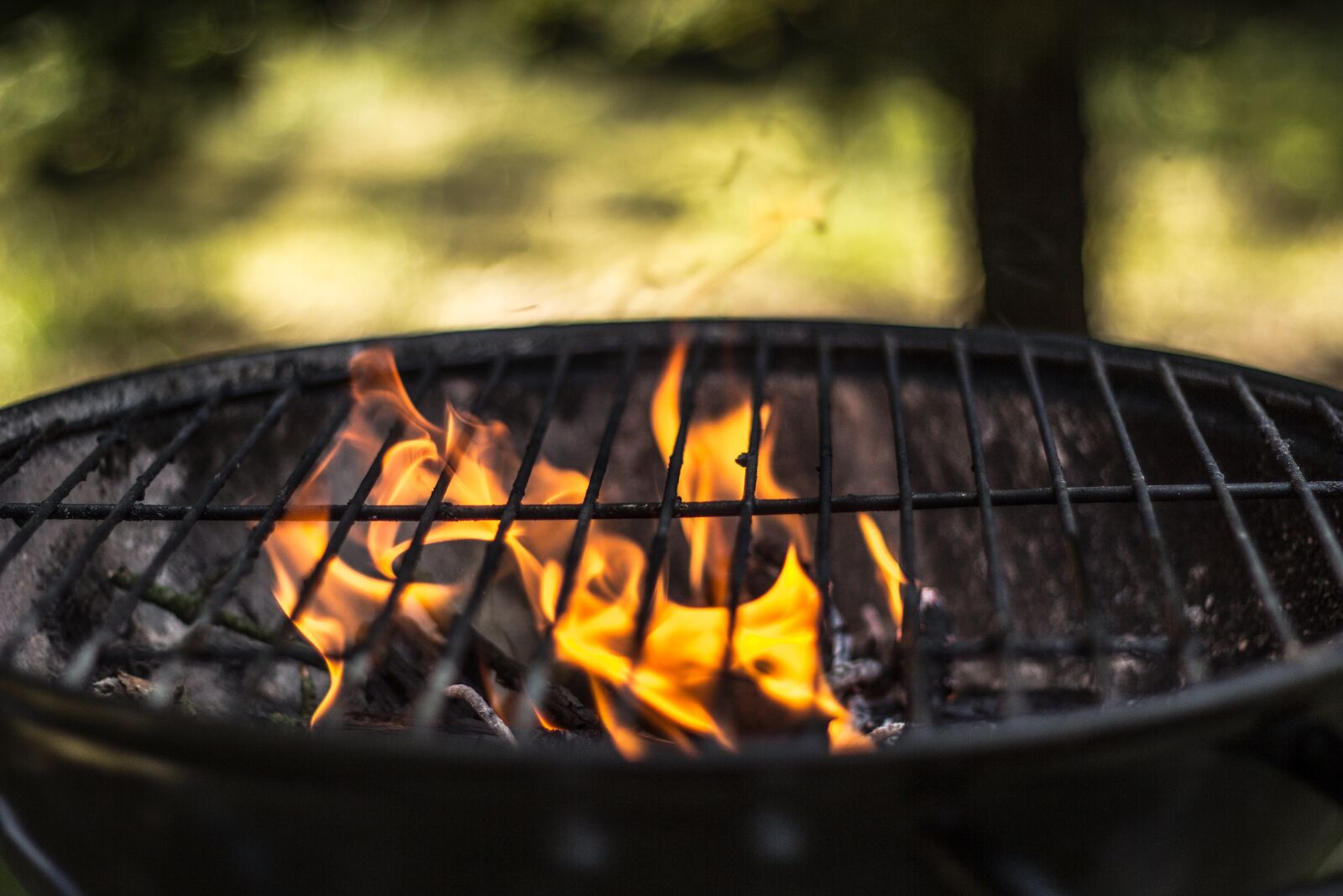 Canon EOS 60D + Canon EF 50mm F1.8 II sample photo. Grill, season on the photography