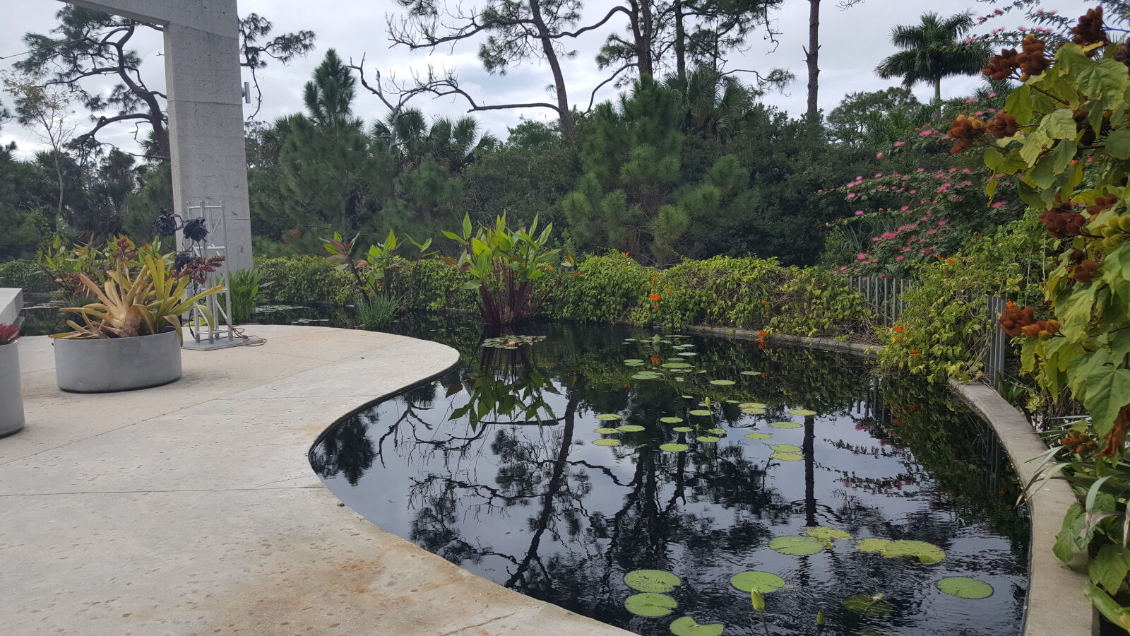 Samsung GALAXY S6 edge sample photo. Botanical, gardens, naples photography