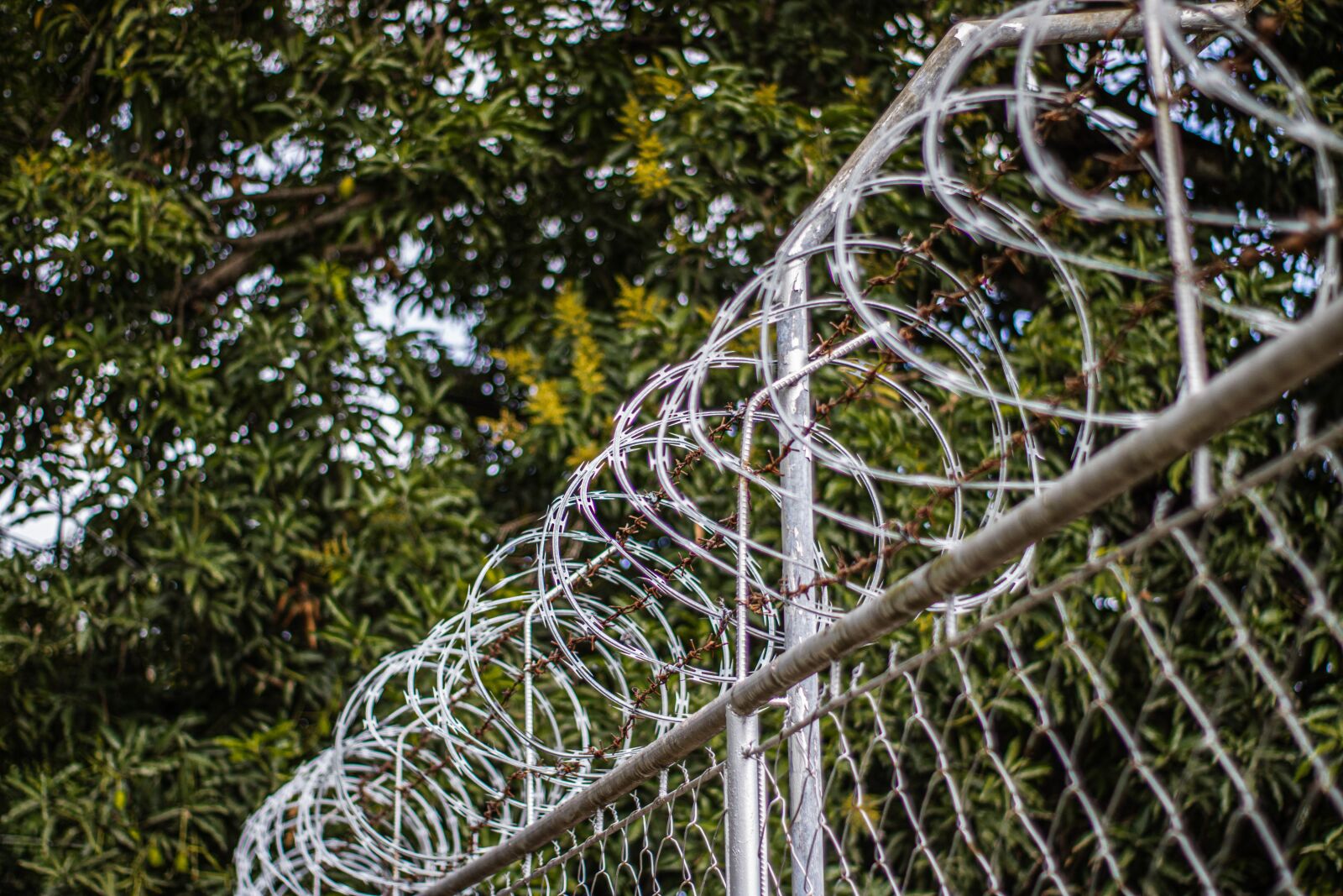 Canon EOS 2000D (EOS Rebel T7 / EOS Kiss X90 / EOS 1500D) sample photo. Fence, metal, wire photography