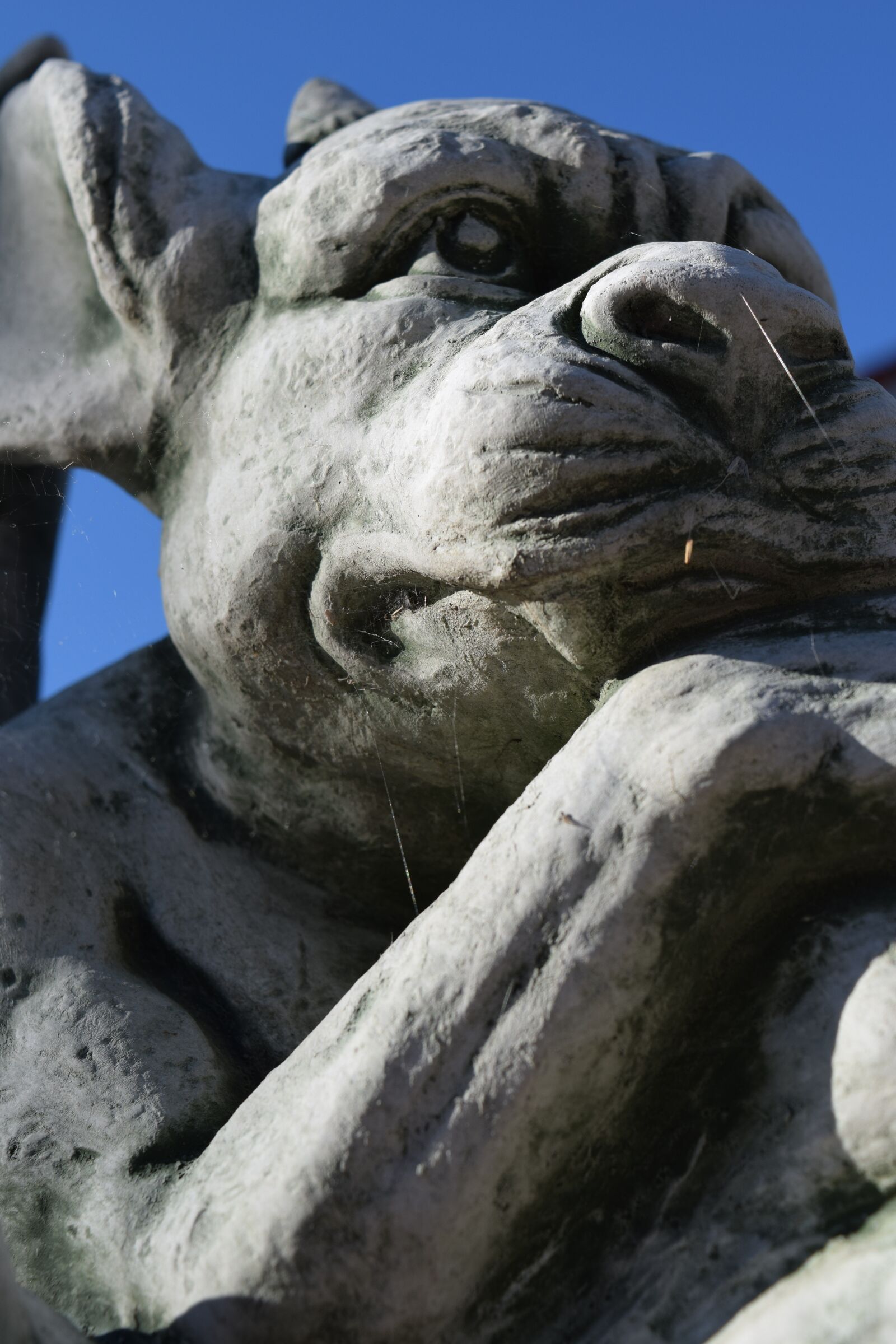 Nikon D3300 sample photo. Gargoyle, figure, dragon photography