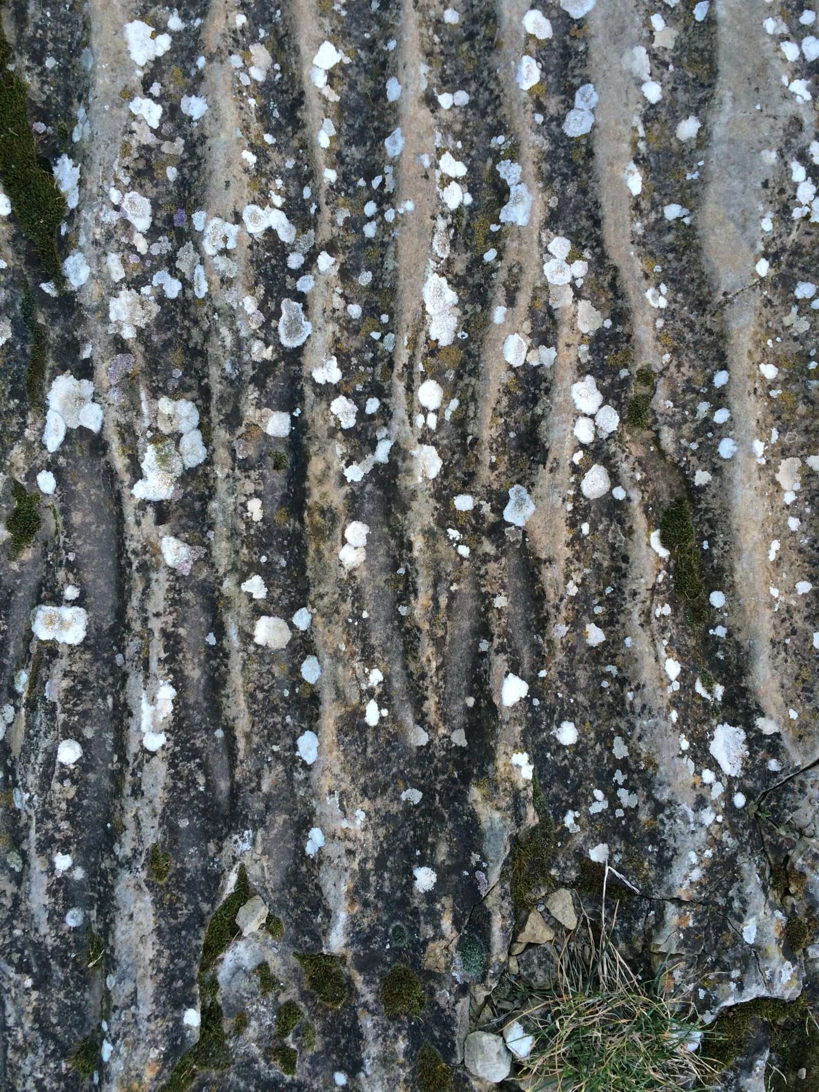 iPhone 5s back camera 4.15mm f/2.2 sample photo. Texture, stone, rock photography