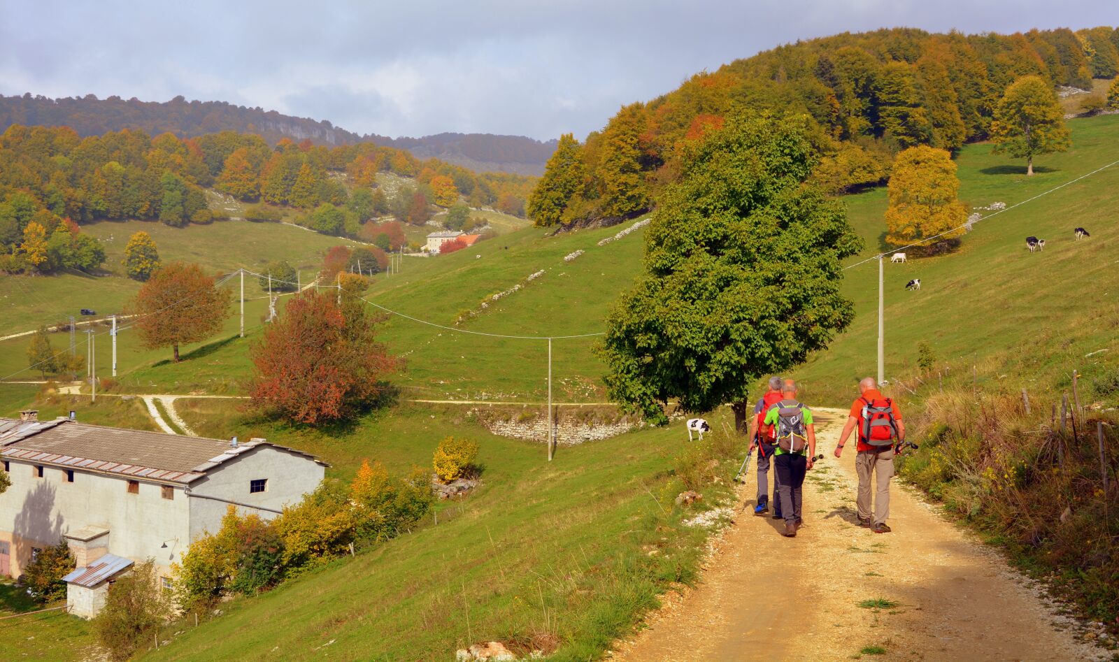 Nikon D7100 sample photo. Excursion, walk, trail photography