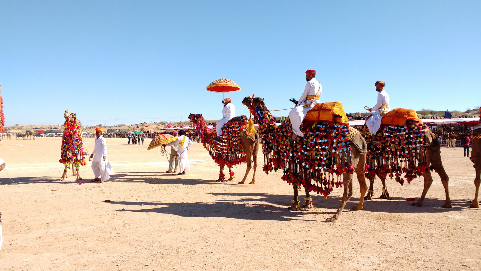 Motorola MotoG3 sample photo. 2017, blue, sky, camel, camels photography