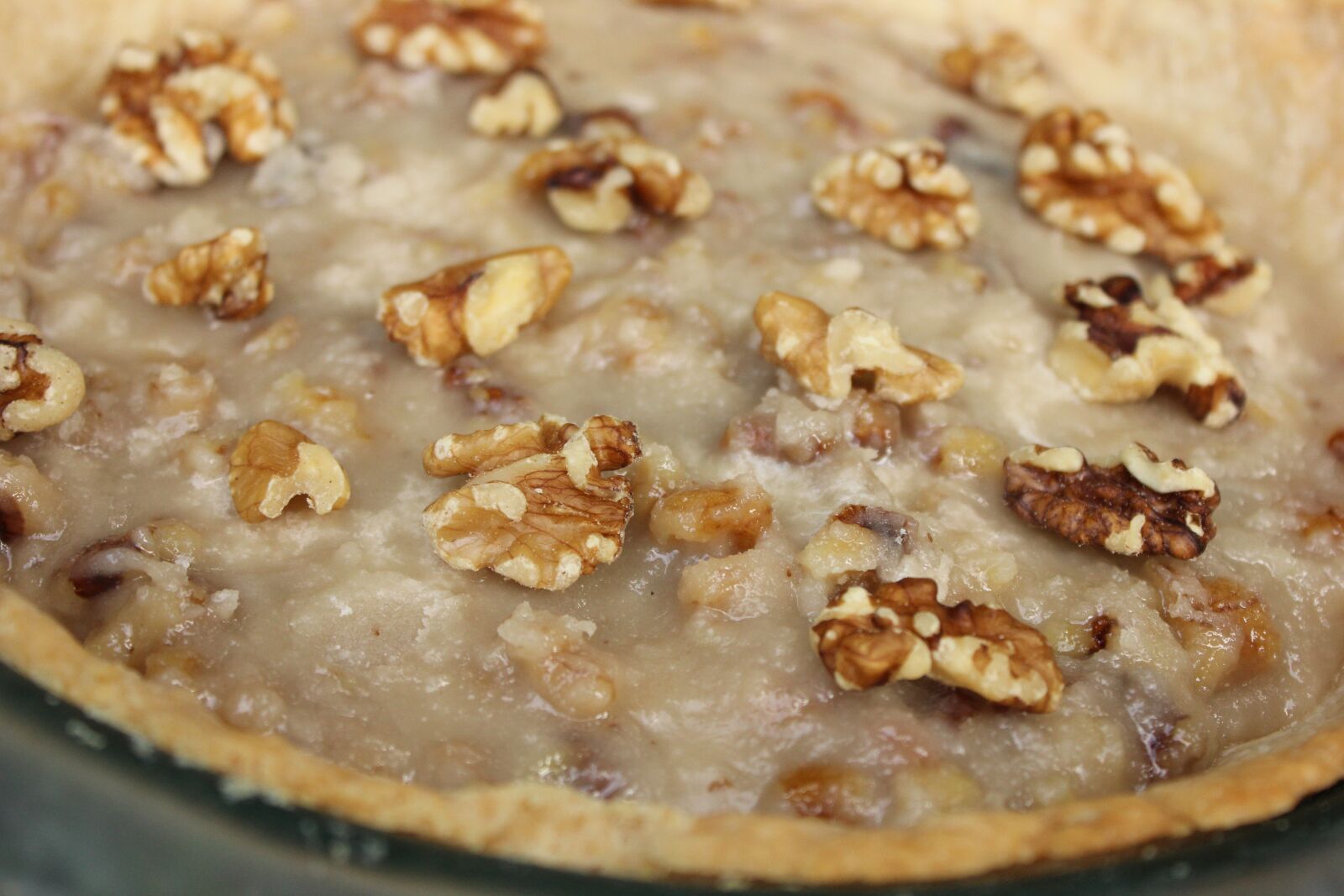 Canon EOS 600D (Rebel EOS T3i / EOS Kiss X5) sample photo. Walnut, walnut pie, pie photography