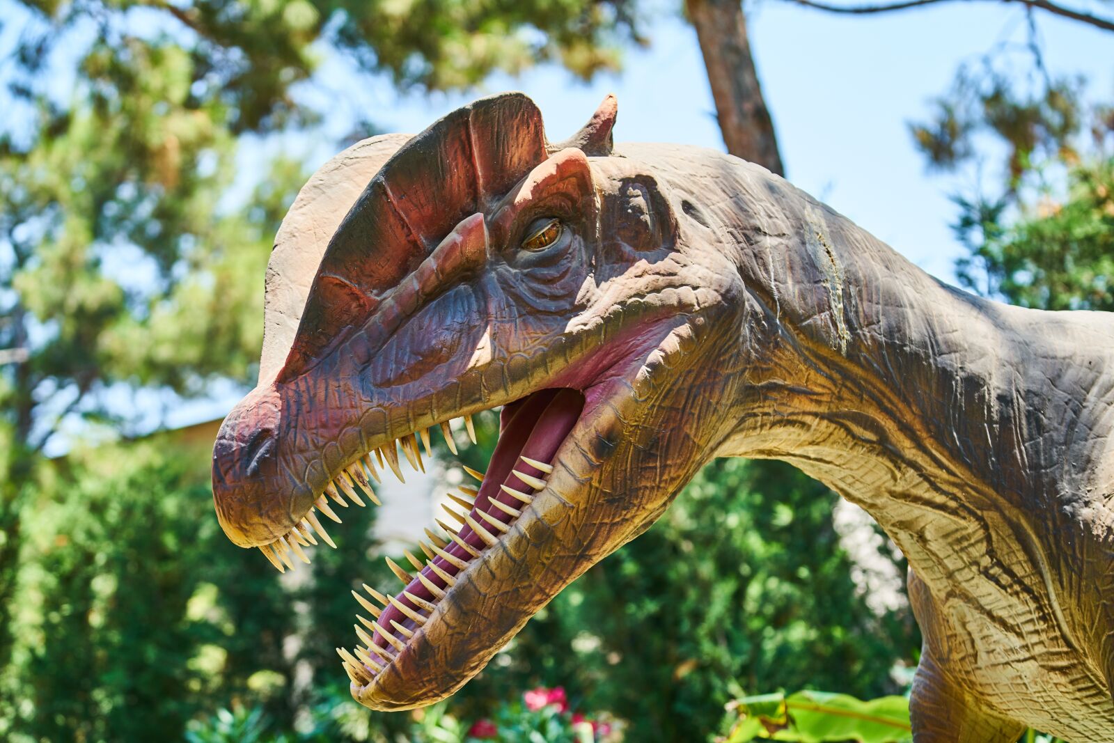 Sony FE 70-200mm F4 G OSS sample photo. Dinosaur, animal, wild photography