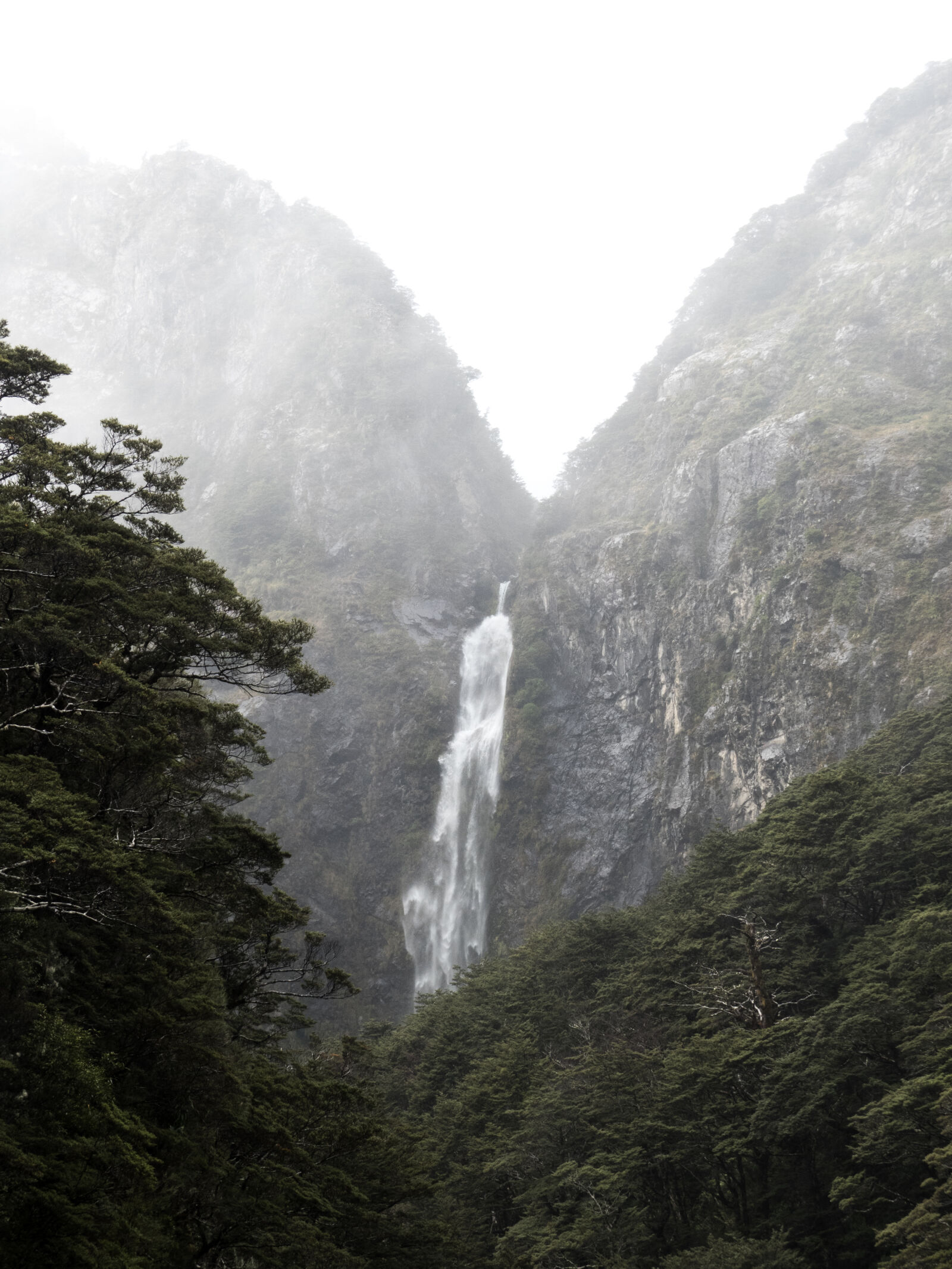 Panasonic Lumix DMC-FZ300 sample photo. Cliff, foggy, forest, hazy photography