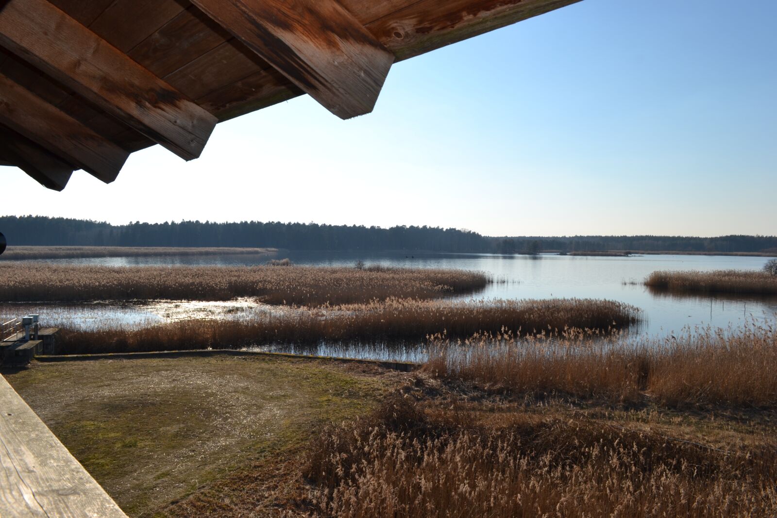 Nikon D3100 sample photo. Pond, water, lausitz photography