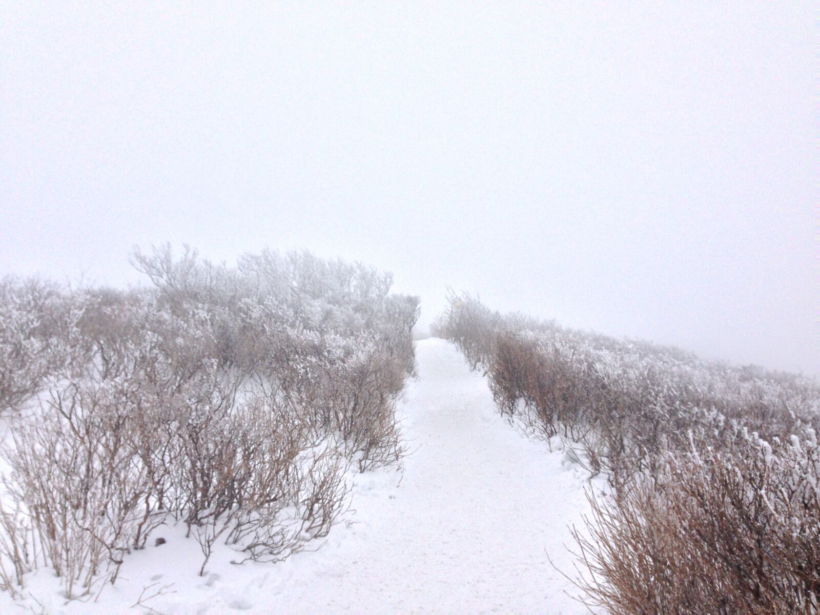 Apple iPhone 5 sample photo. Sobaeksan, snow, mt photography