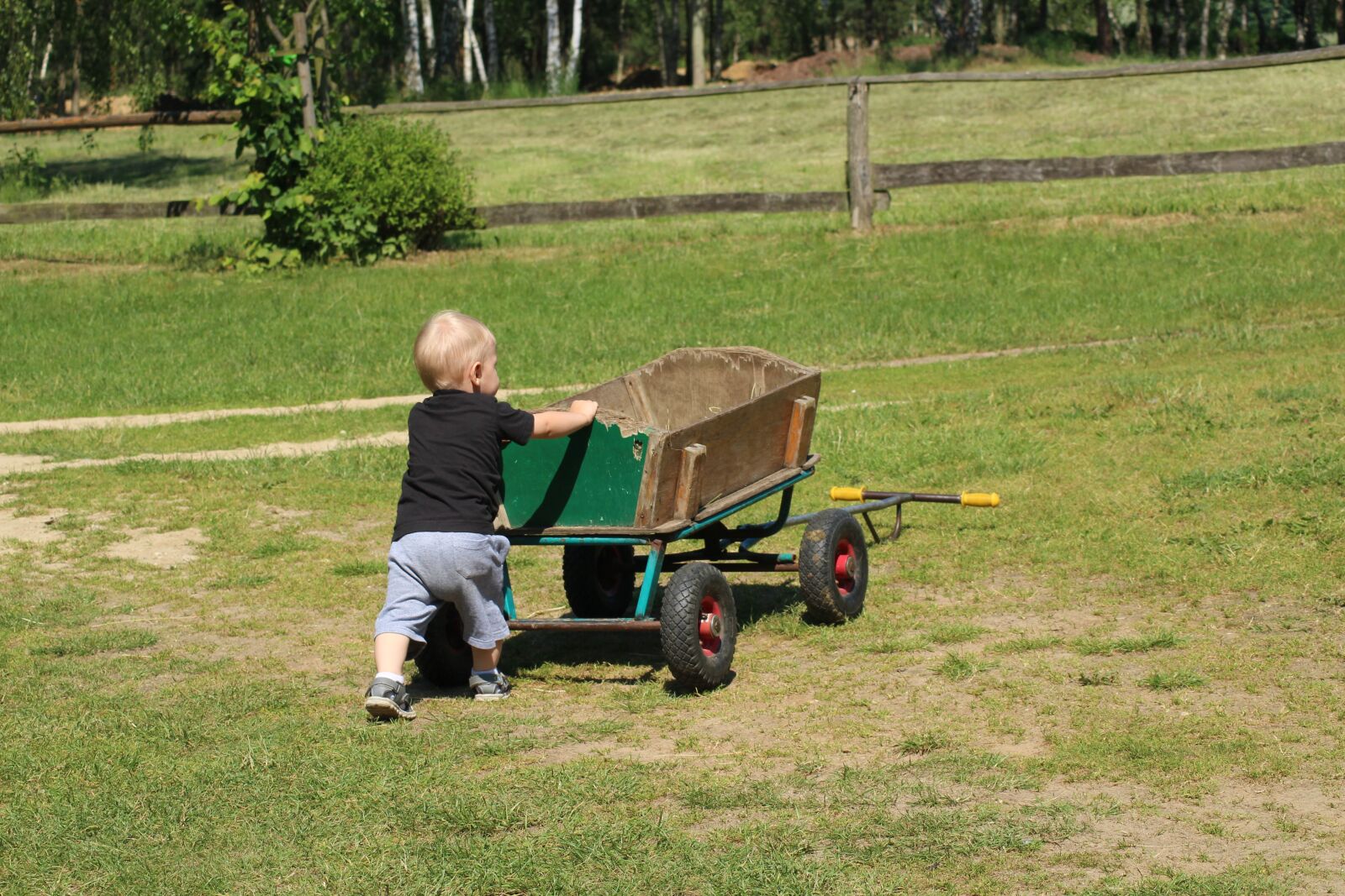 Canon EOS 1200D (EOS Rebel T5 / EOS Kiss X70 / EOS Hi) sample photo. Child, fun, childhood photography
