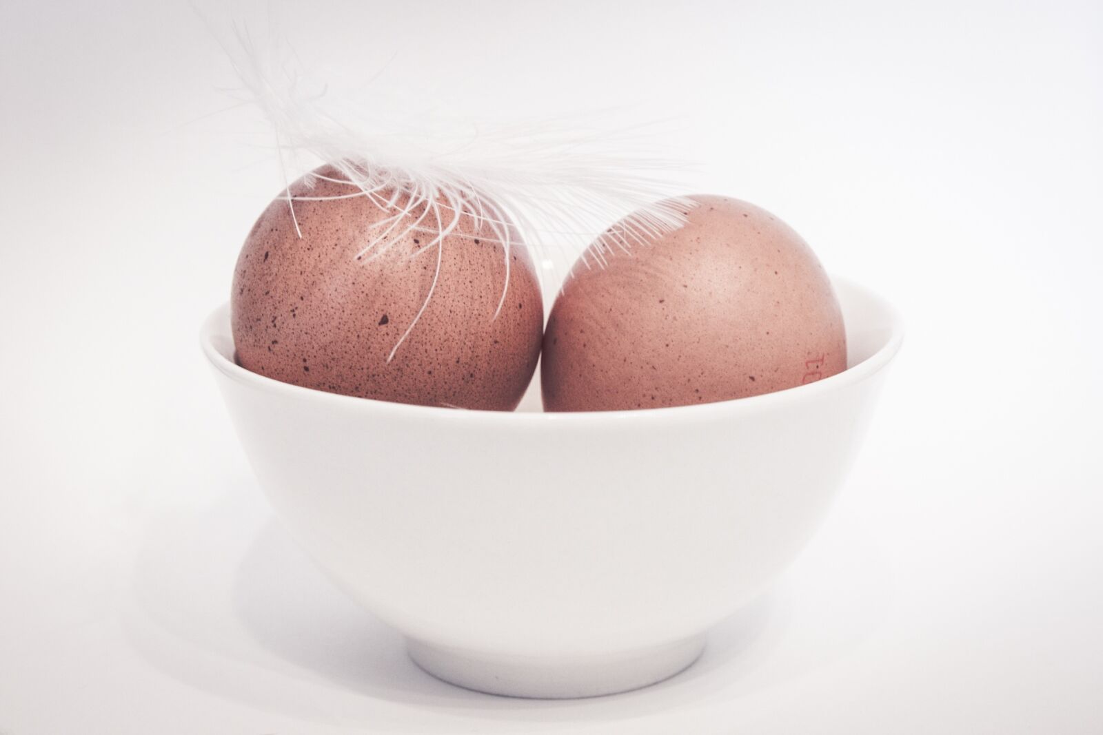 Canon EOS 70D sample photo. Egg, brown egg, feather photography