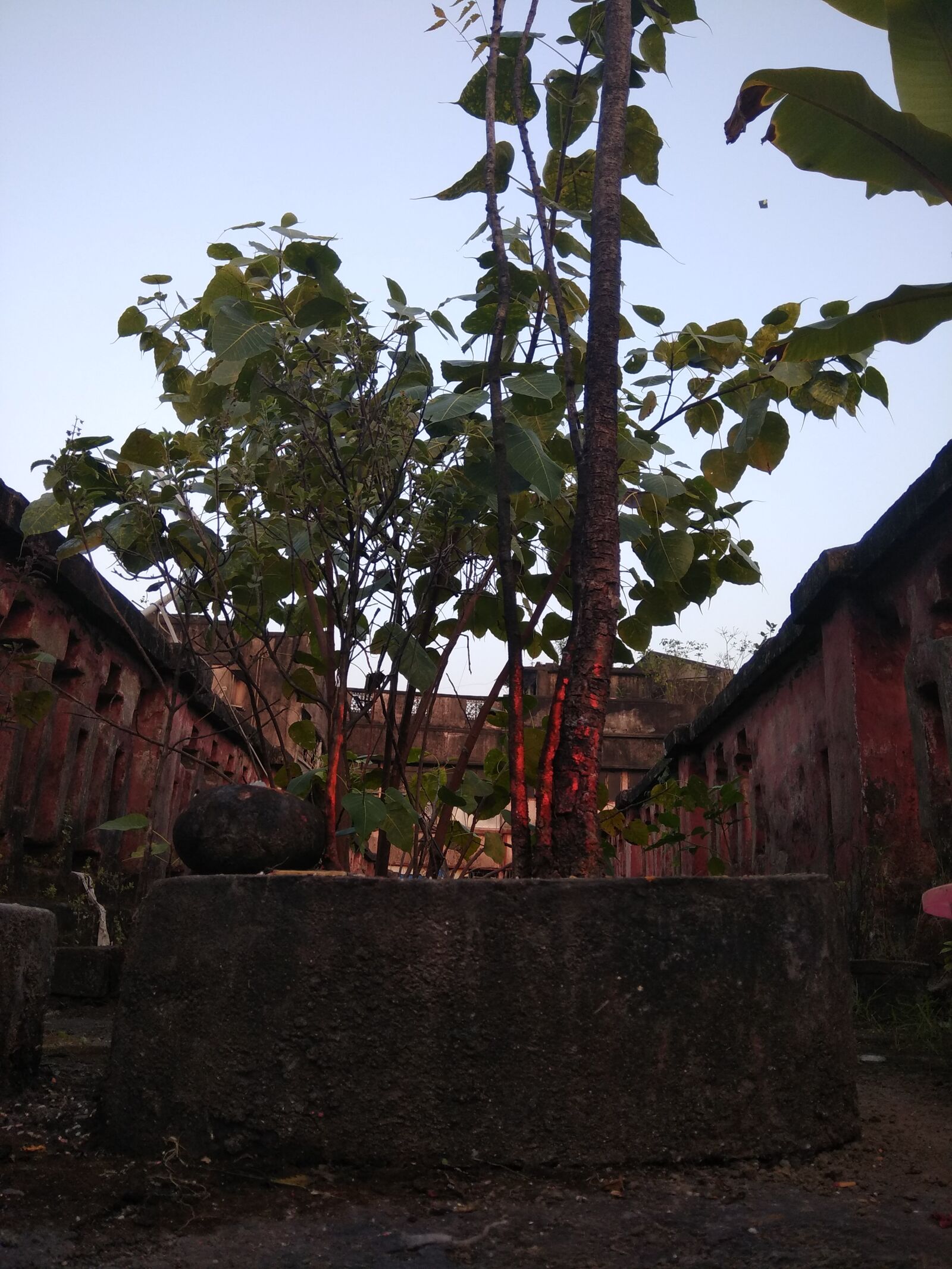 Xiaomi Redmi Note 4 sample photo