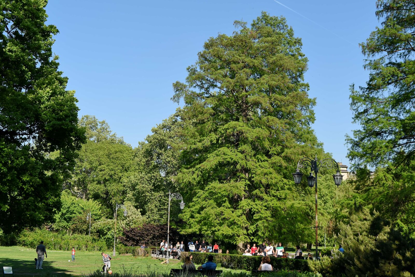 Nikon D5500 sample photo. Crowd, garden, spring time photography