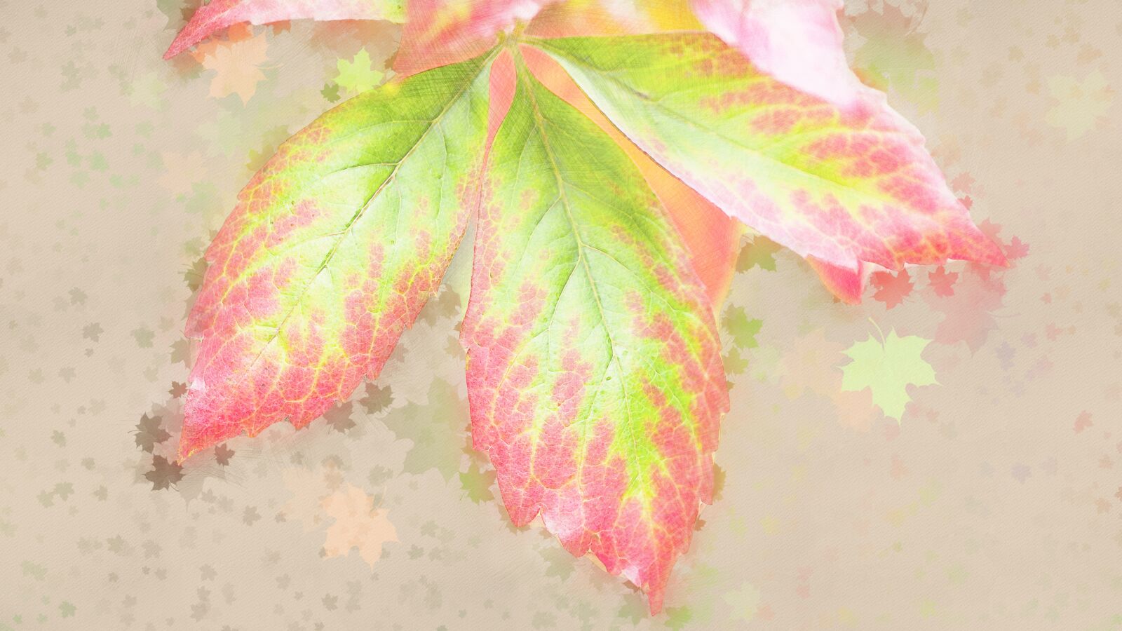 Canon EOS 6D Mark II sample photo. Autumn leaf, autumn, fall photography