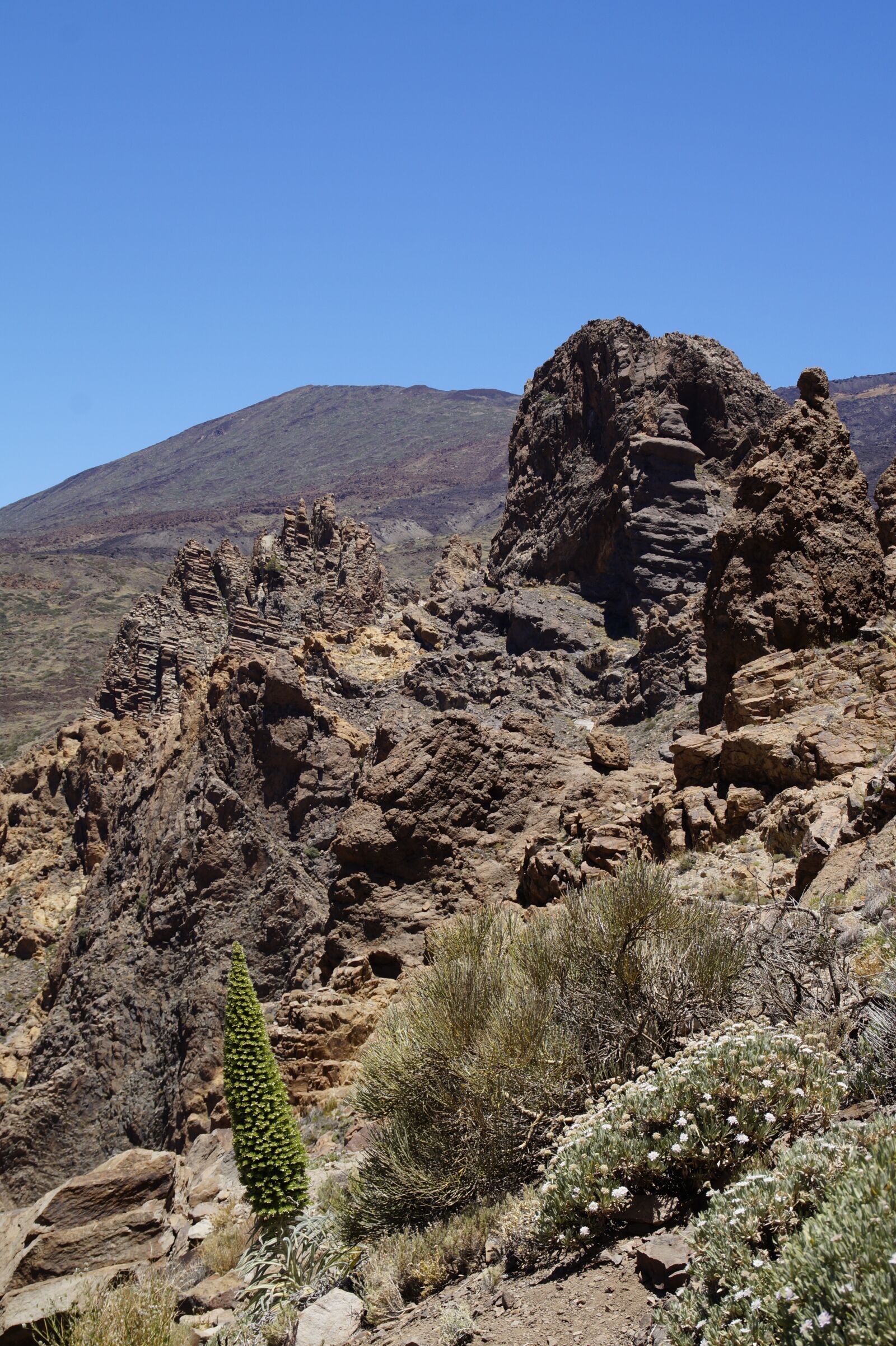 Sony SLT-A58 sample photo. Teide national park, national photography
