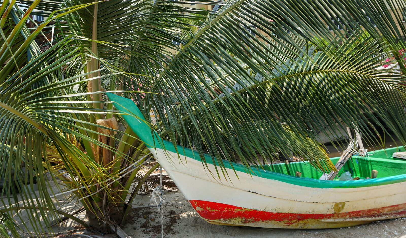 Sony a6300 sample photo. Coconut palm, shade, boat photography