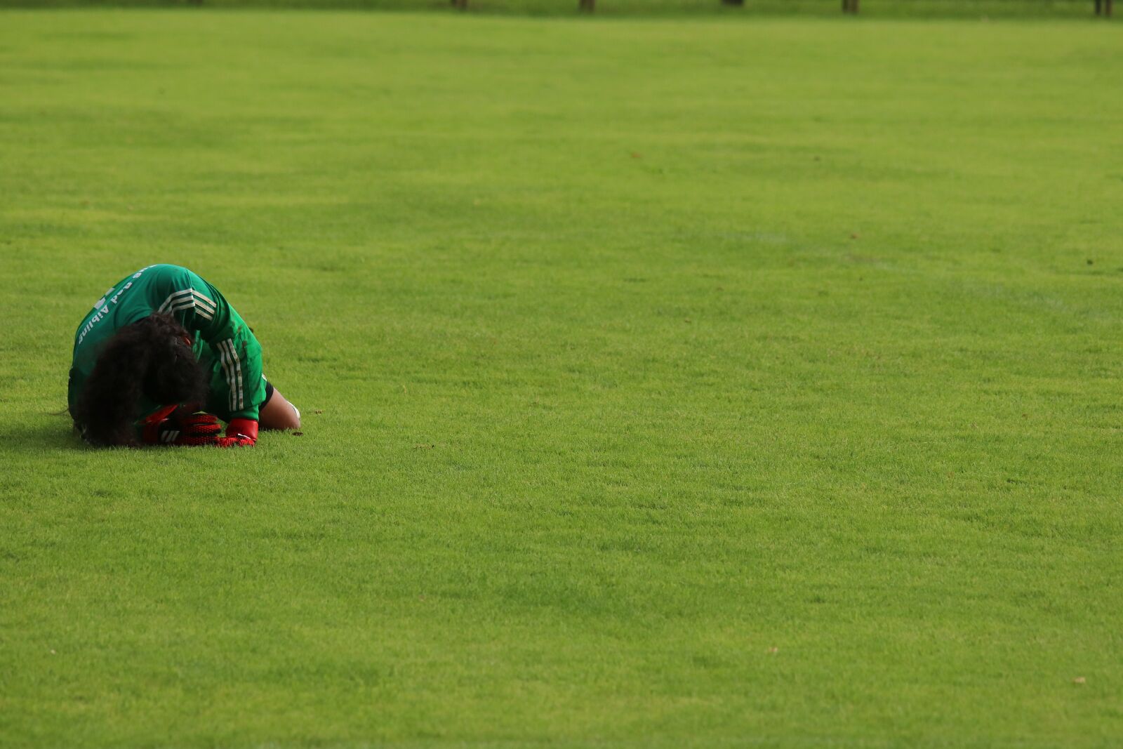 Canon EOS 80D sample photo. Goalkeeper, ground, rush photography
