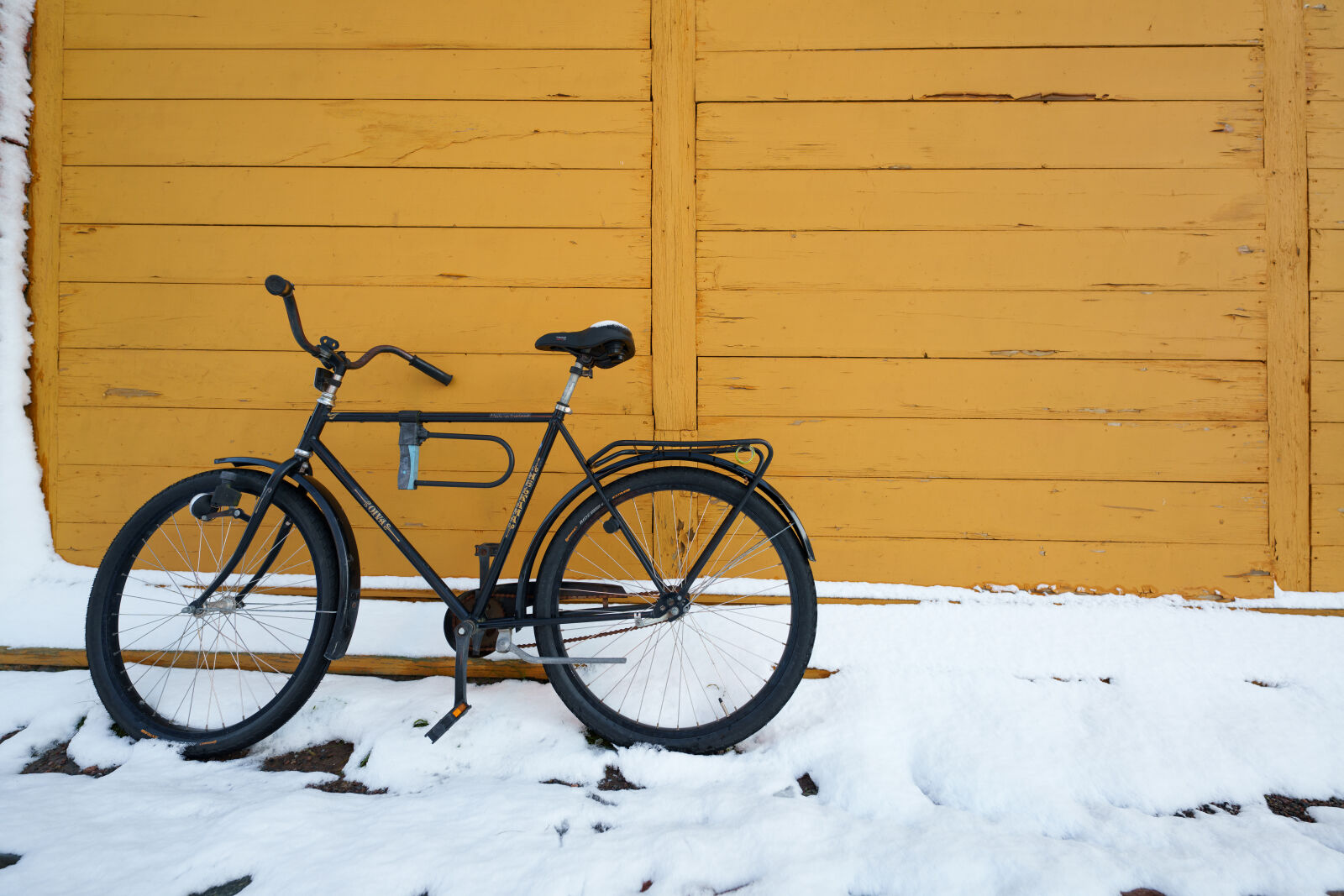 Sigma 14mm F1.4 DG DN sample photo. Forgotten bicycle photography