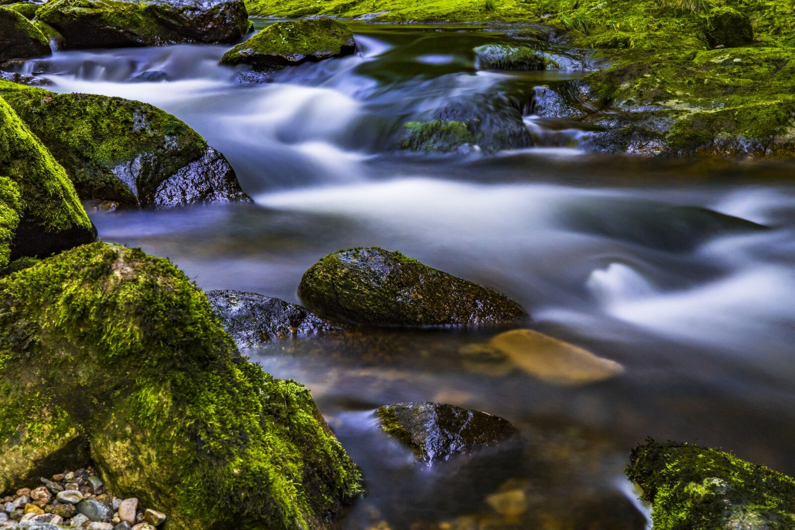Sony a6300 + Sigma 30mm F2.8 EX DN sample photo. Water, river, nature photography