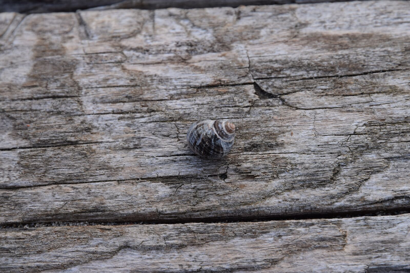 Nikon D5500 sample photo. Wood, background, textiles photography