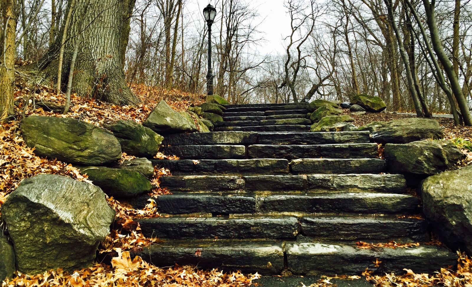 iPhone 6 back camera 4.15mm f/2.2 sample photo. Central, park, new, york photography