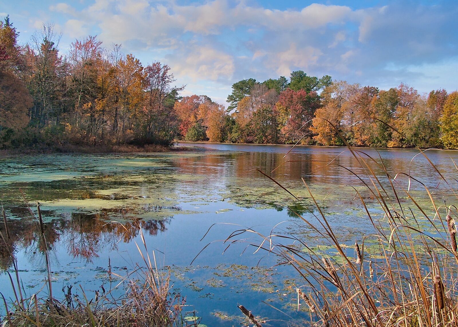 Fujifilm FinePix S7000 sample photo. Pond, autumn, foliage photography